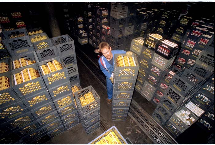 Image of Mark Ostrander with stacked crates of milk at Darigold plant, Seattle, September 1993
