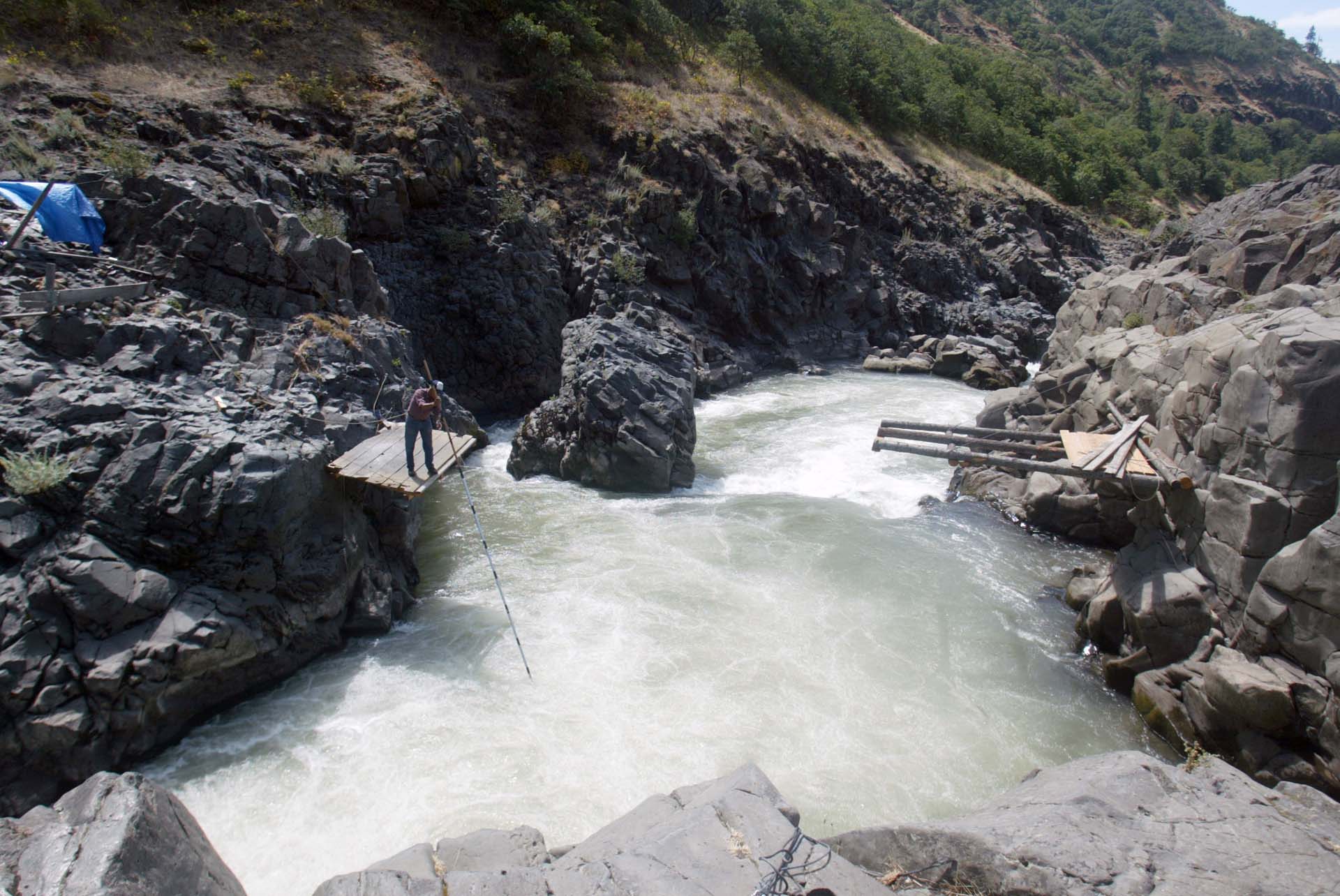 Image of Leonard Dave, Sr. dipping for fish with a hoop net, July 26, 2002