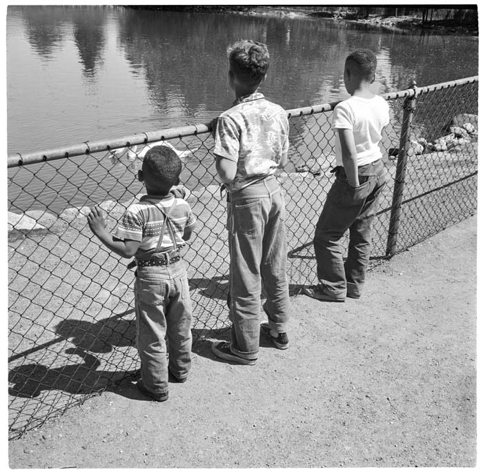 Image of Three boys watching a swan in the water at an unidentified park, circa 1950