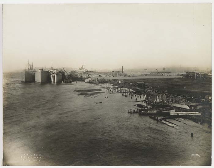 Image of View of ships at Todd Dry Docks, Inc., Seattle, November 1918