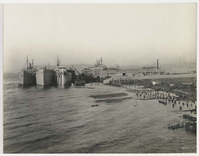 Image of View of ships at Todd Dry Docks, Inc., Seattle, November 1918