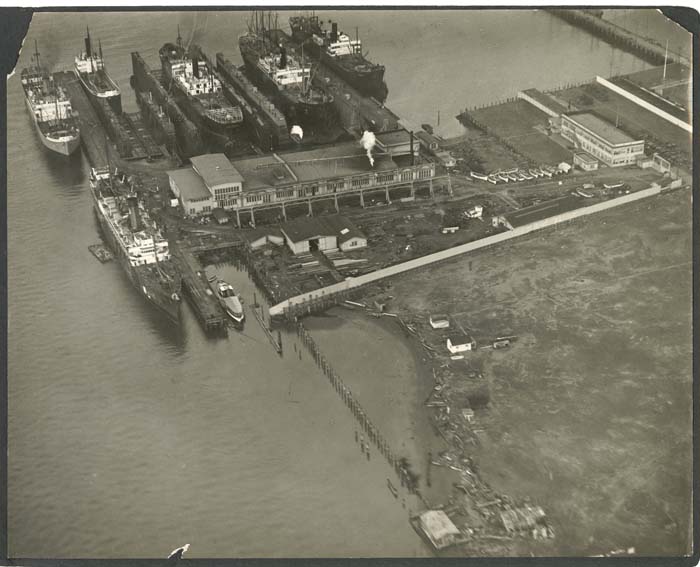 Image of Aerial view looking northeasterly, Todd Dry Docks, Inc., Seattle, April 11, 1905