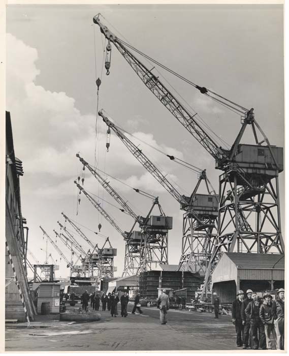 Image of Row of cranes, Todd Pacific Shipyards, Plant A, Seattle,  circa 1945