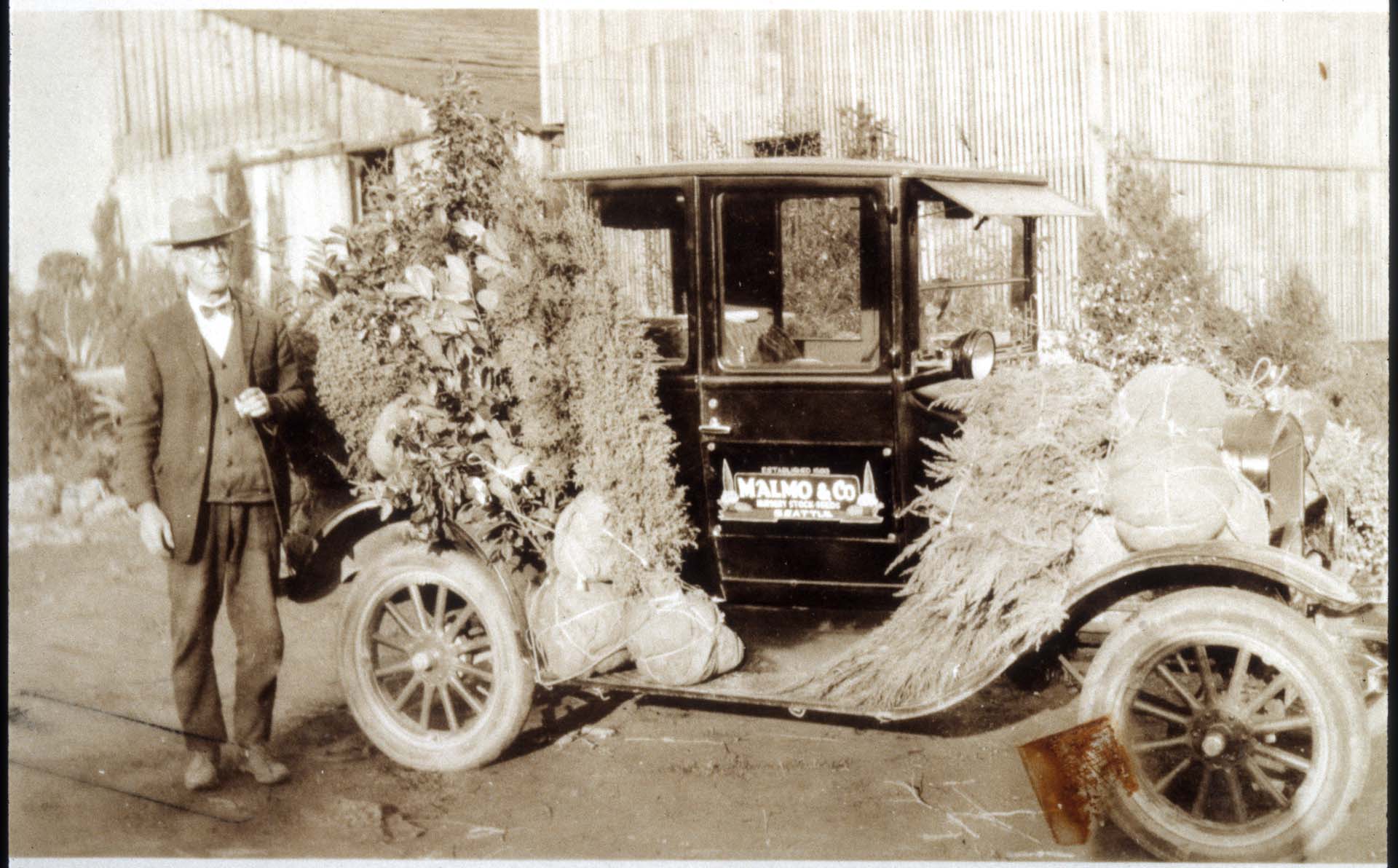 Image of Older man standing beside Malmo Nursery car, Seattle, circa 1925