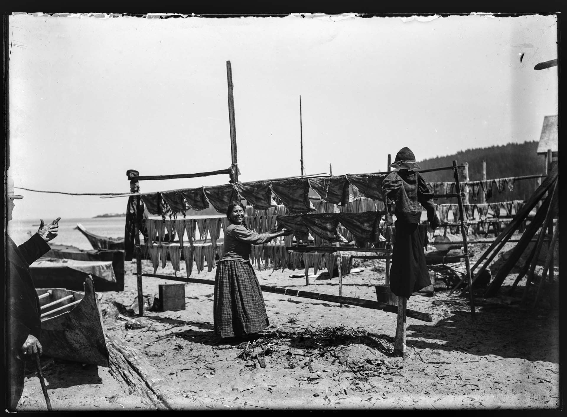 Image of Makah woman drying fish on a rack, Neah Bay, circa 1900