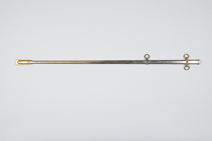 Image of Dress sword owned by Granville Owen Haller, 1860