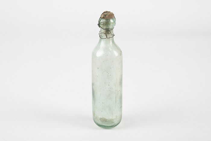 Image of Champagne bottle from the SS Islander, ca. 1901