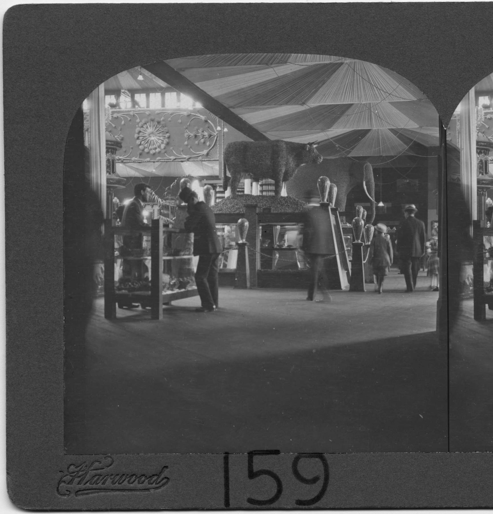 Image of Exhibit in California Building at Alaska-Yukon-Pacific Exposition, Seattle, 1909