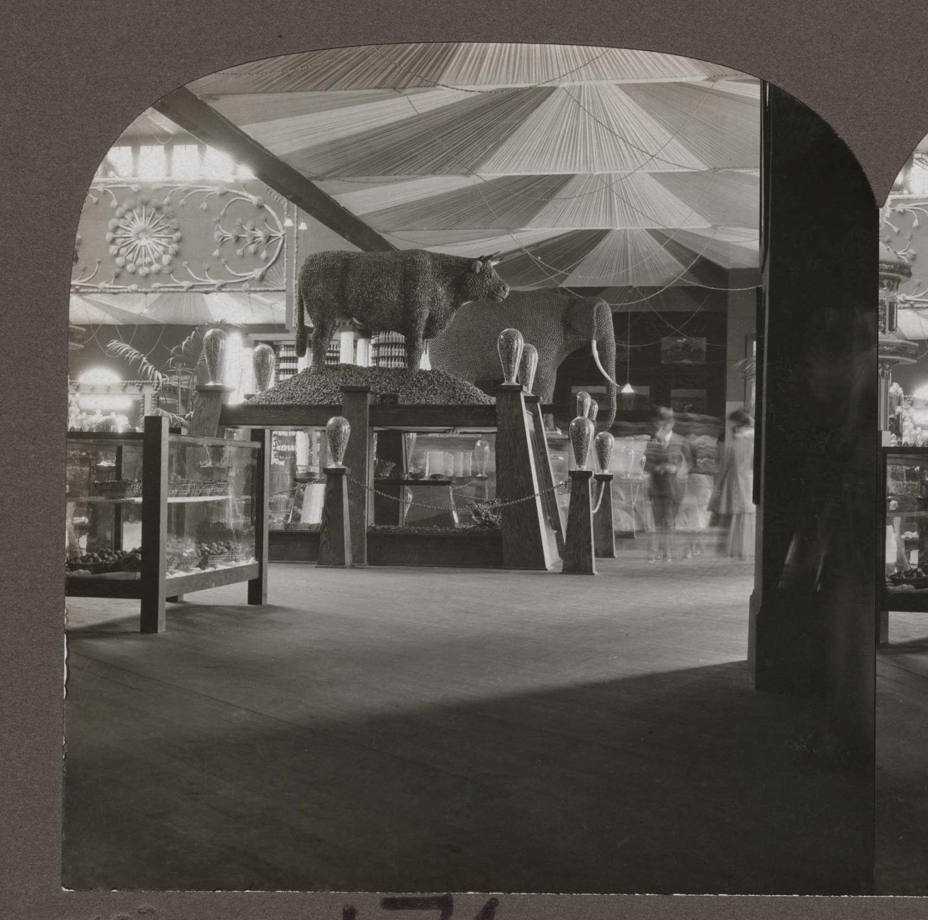 Image of Exhibit in California building, Alaska-Yukon-Pacific Exposition, Seattle, 1909