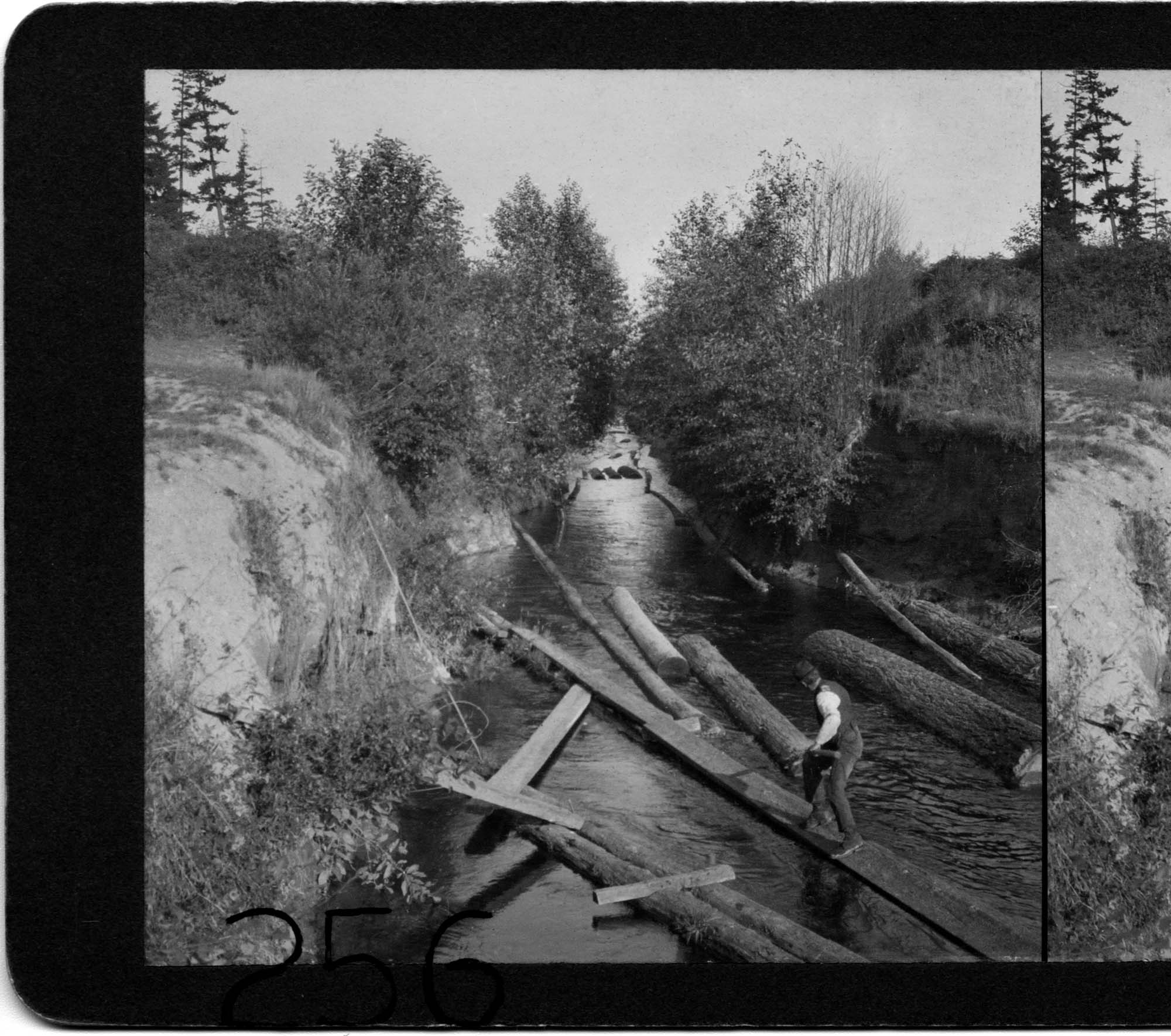 Image of Logs in Montlake canal, Seattle, 1908