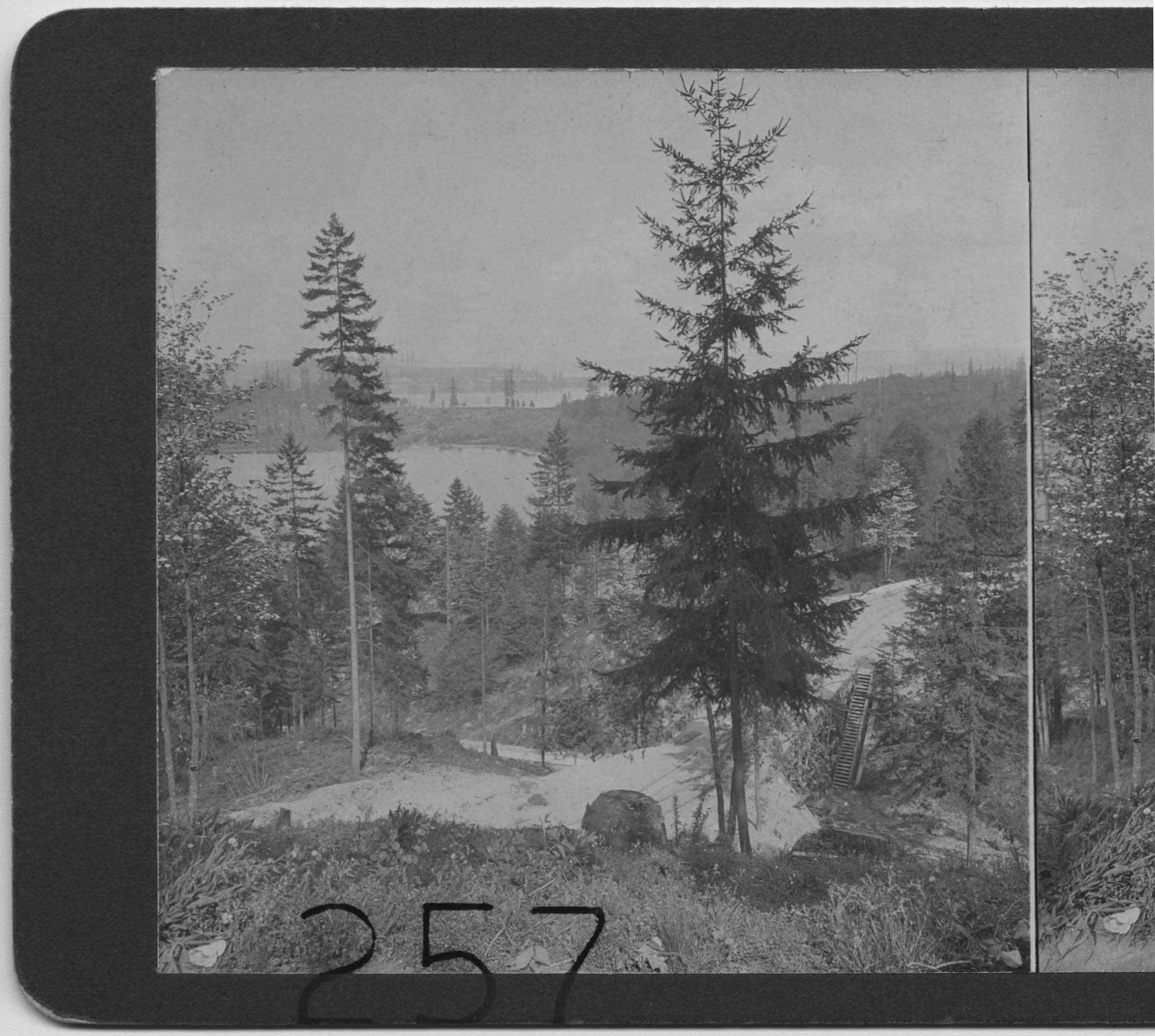 Image of Washington Park, Seattle, May 2, 1908