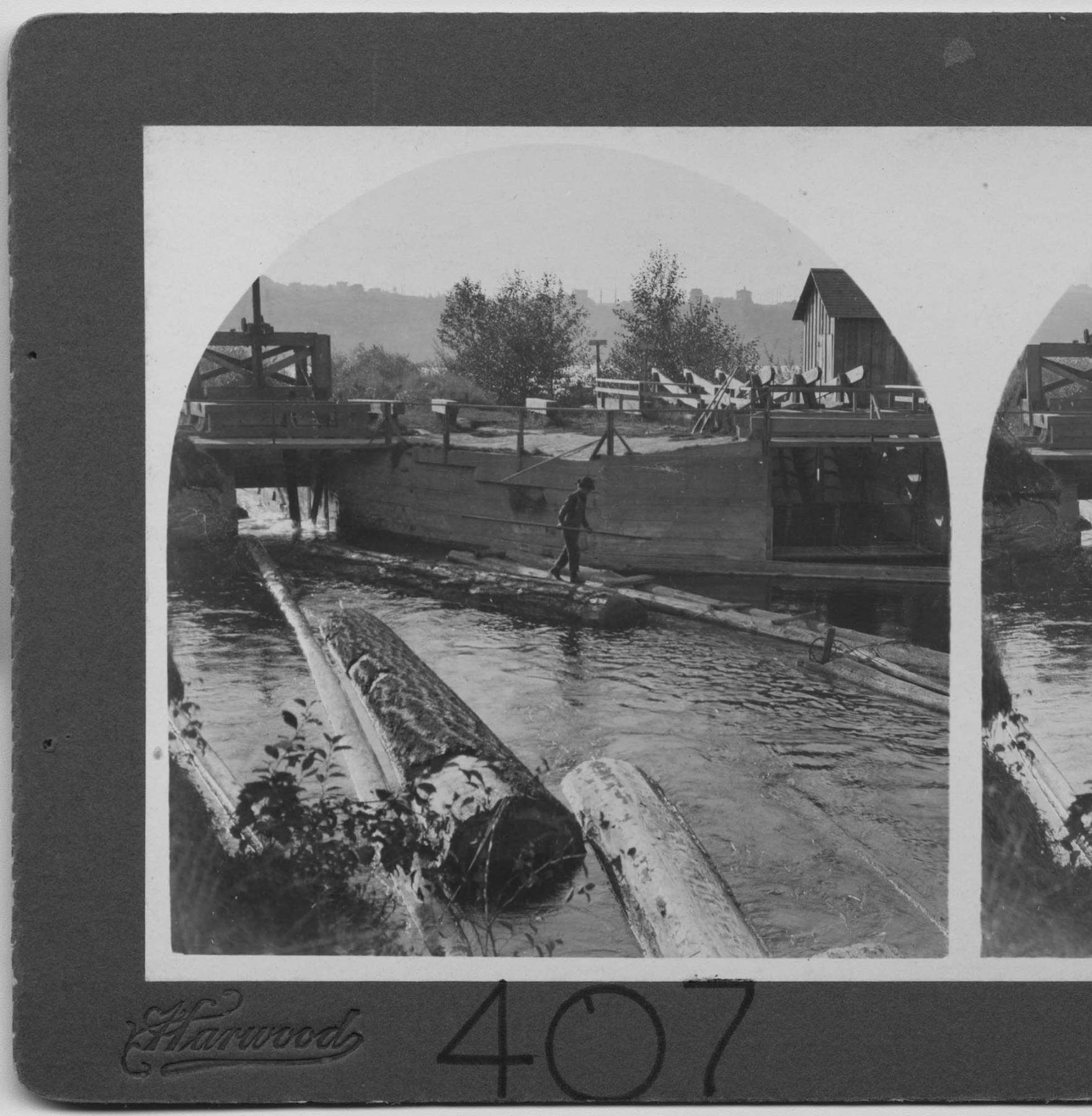 Image of Logs in Montlake canal, Seattle, 1906