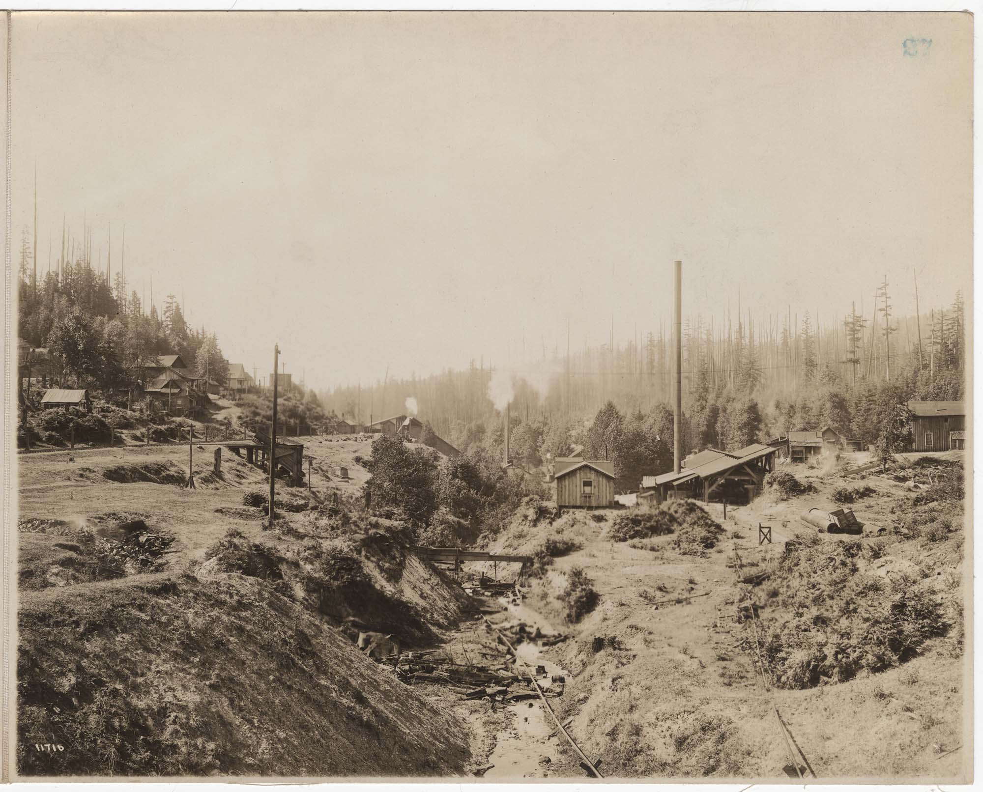 Image of Saw Mill at Coal Creek, near Newcastle, circa 1915