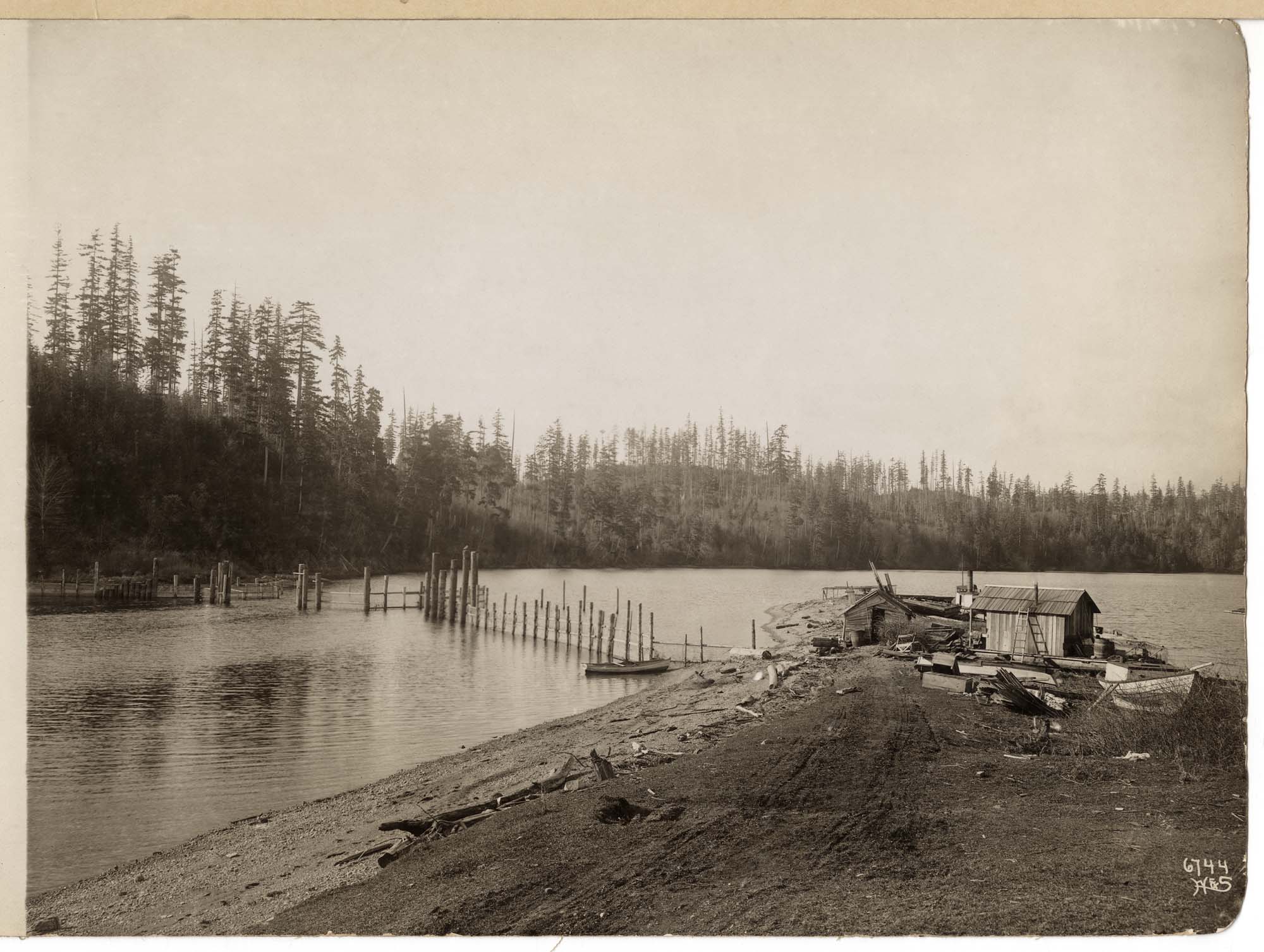 Image of Salmon trap, circa 1911