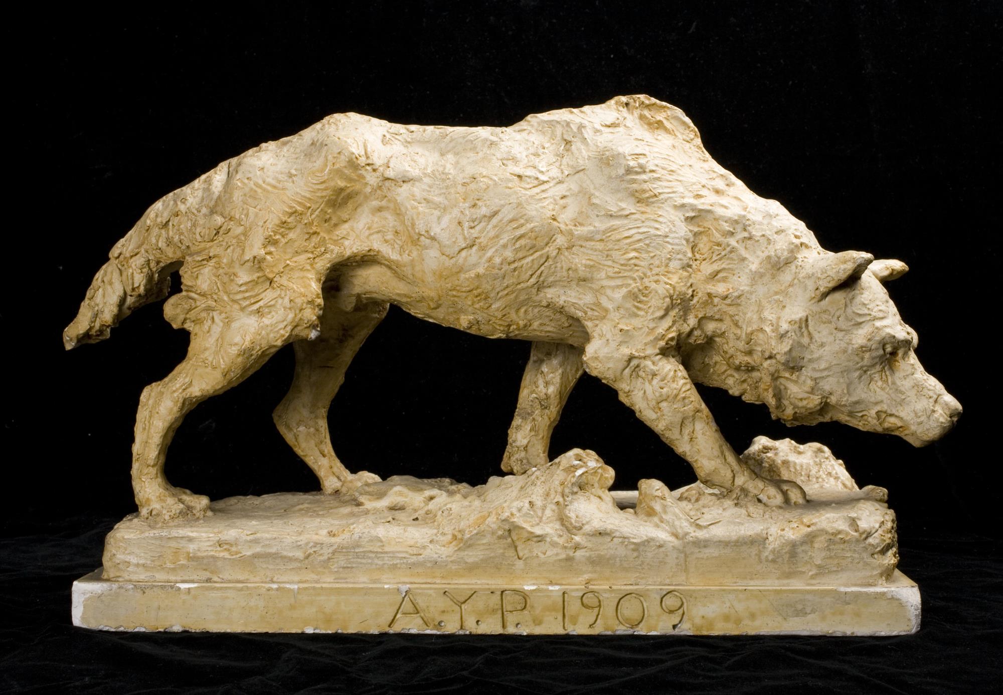 Image of Model for the sculpture of an Alaskan wolf presented at the Alaska-Yukon-Pacific Exposition (AYPE), 1909