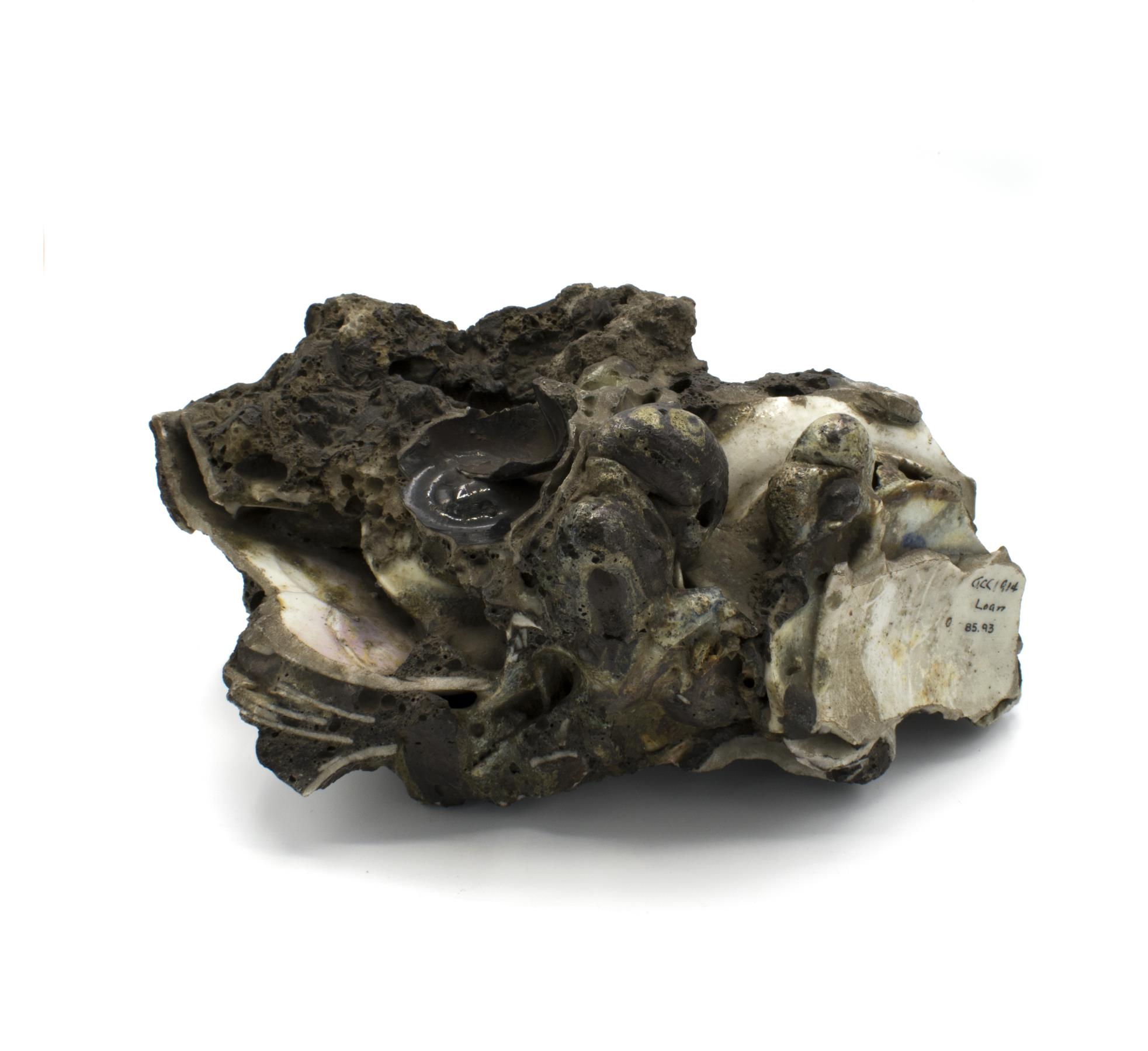 Image of Stack of dishes melted in the Great Seattle Fire, 1889