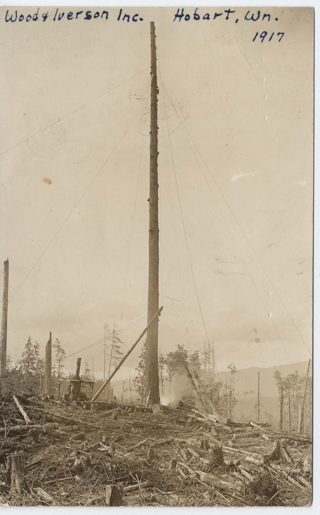 Image of High lead logging, Hobart, Washington, 1917