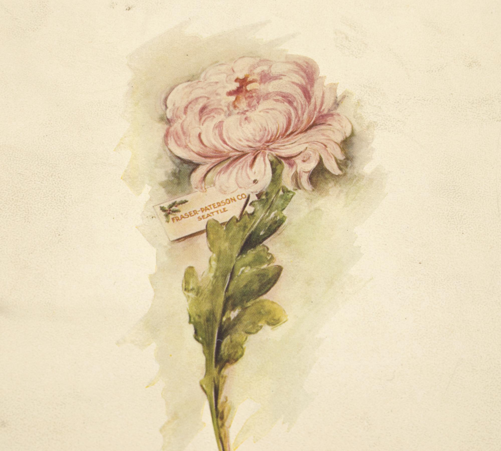 Image of Small letter box containing dried sweet briar flowers and seeds from Louisa Boren Denny's garden, ca. 1928