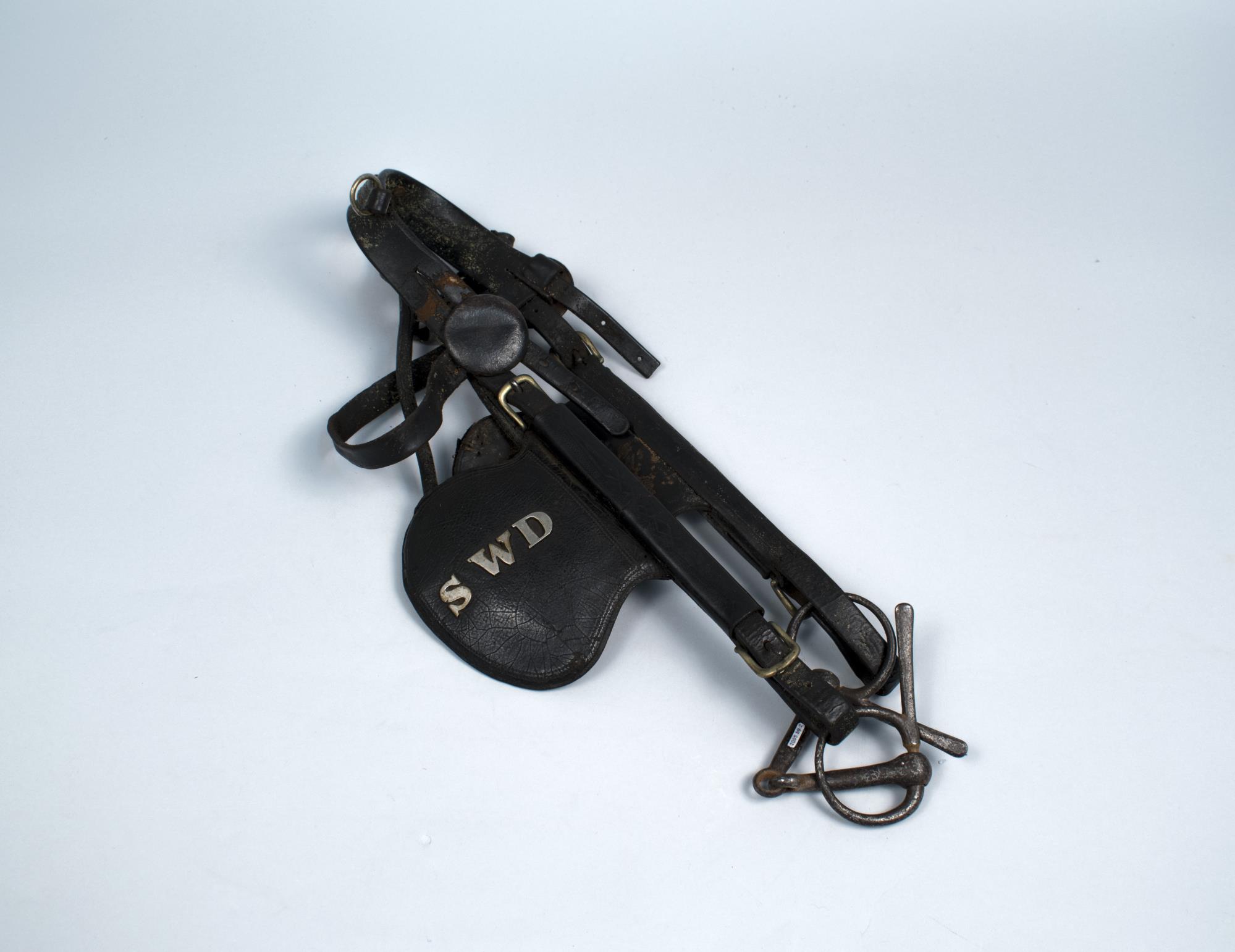 Image of Horse bridle, worn by 