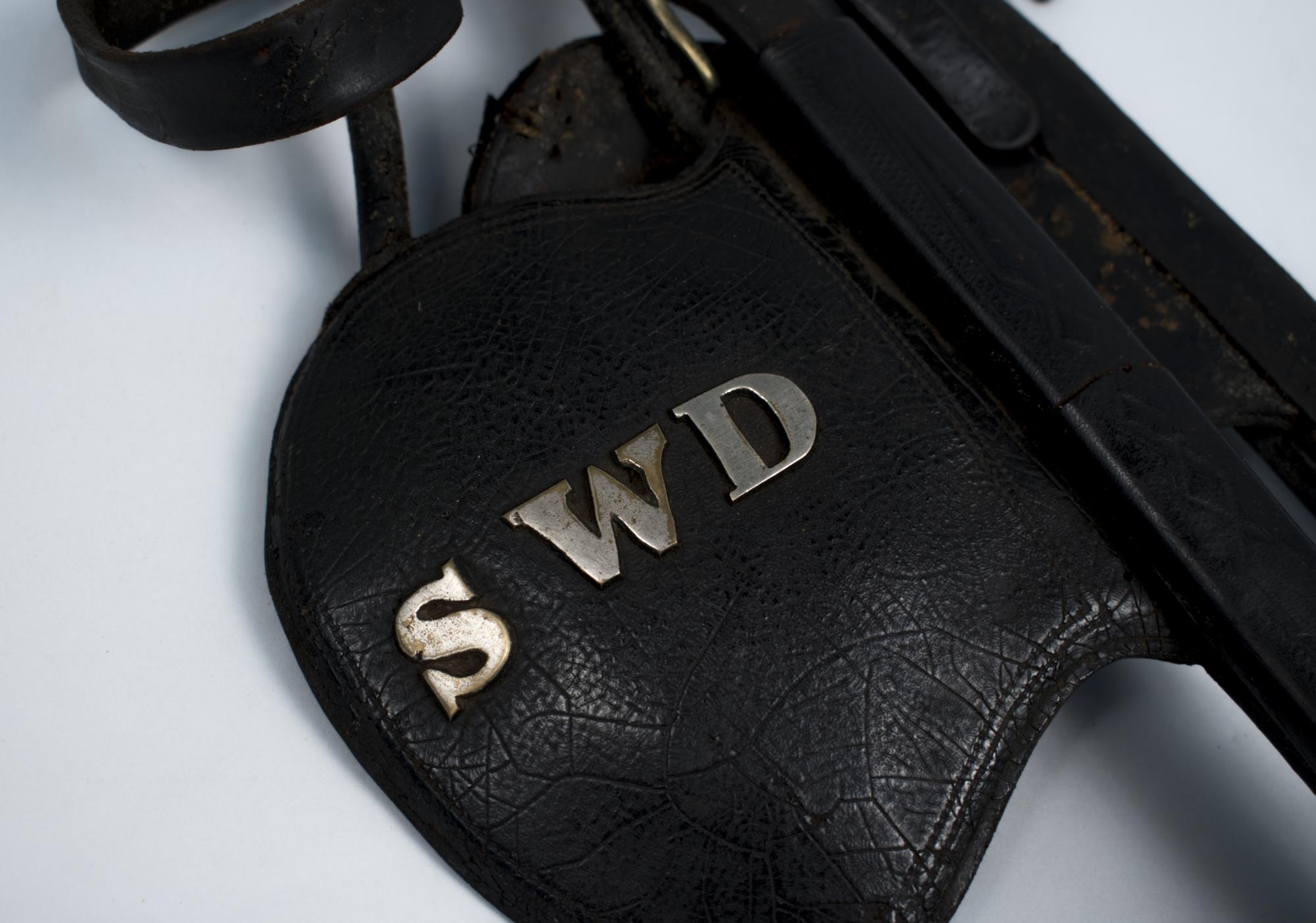 Image of Horse bridle, worn by 