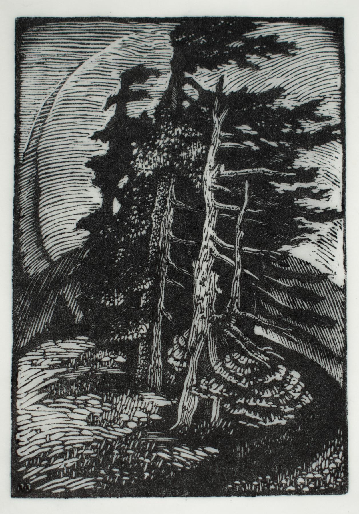 Image of Wood block with wood cut, 