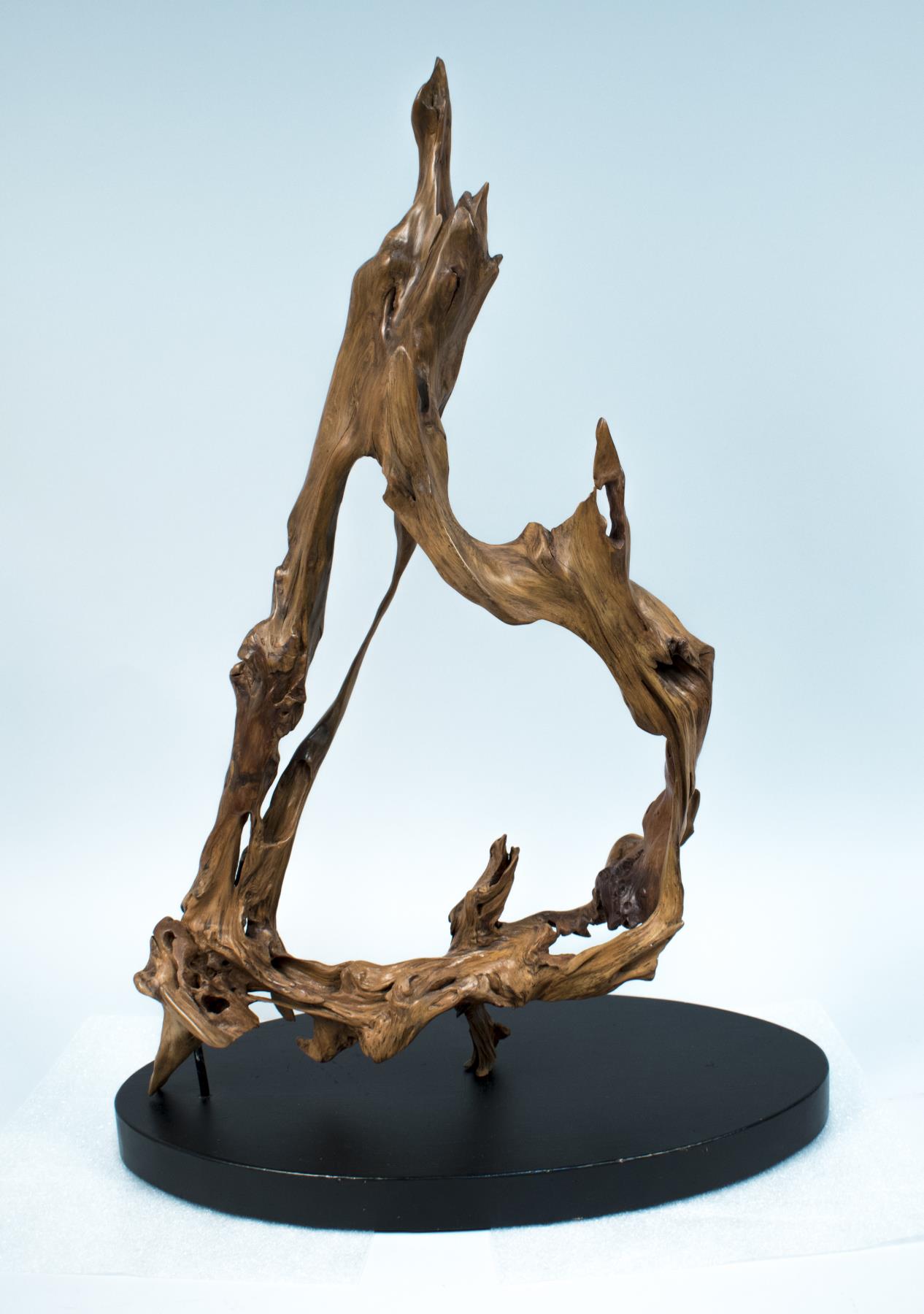 Image of Driftwood sculpture, 