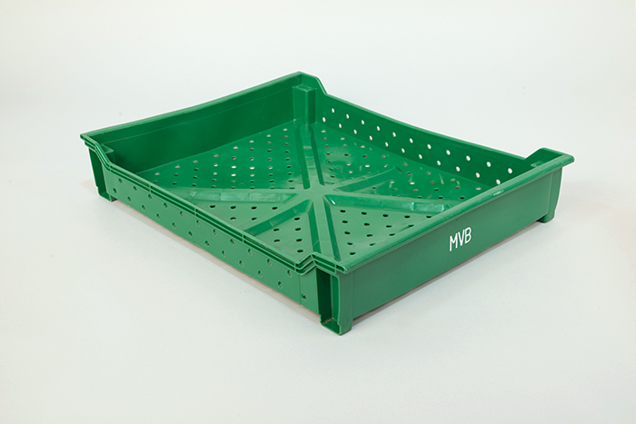 Image of Green crate from Mountain View Berries, 2019