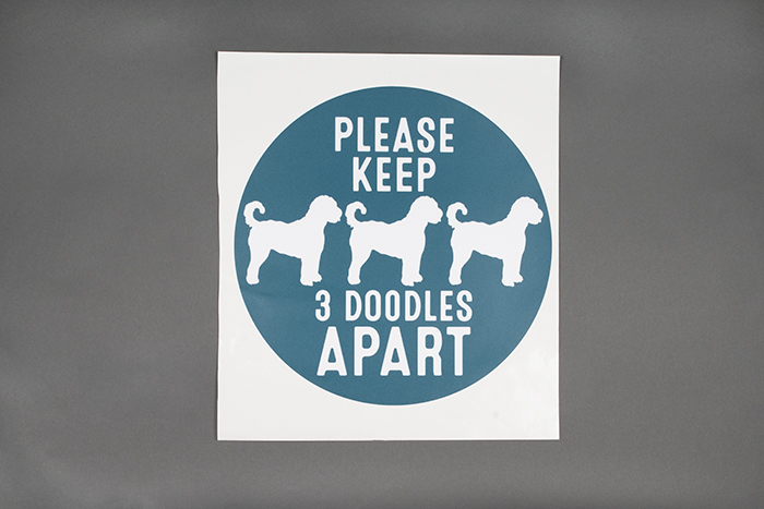 Image of Floor decal from All the Best Pet Care, 