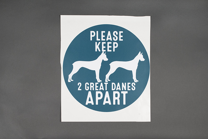 Image of Floor decal from All the Best Pet Care, 