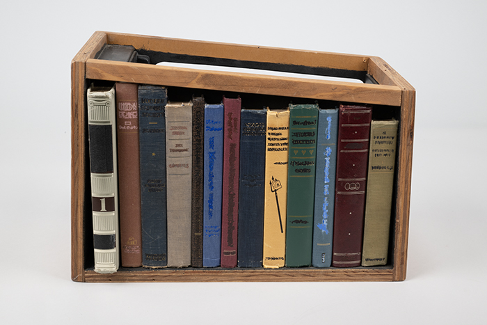 Image of Bookshelf for the Bookworm puppet from the J.P. Patches television show, 2008