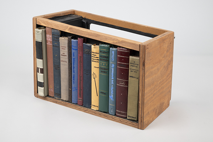 Image of Bookshelf for the Bookworm puppet from the J.P. Patches television show, 2008
