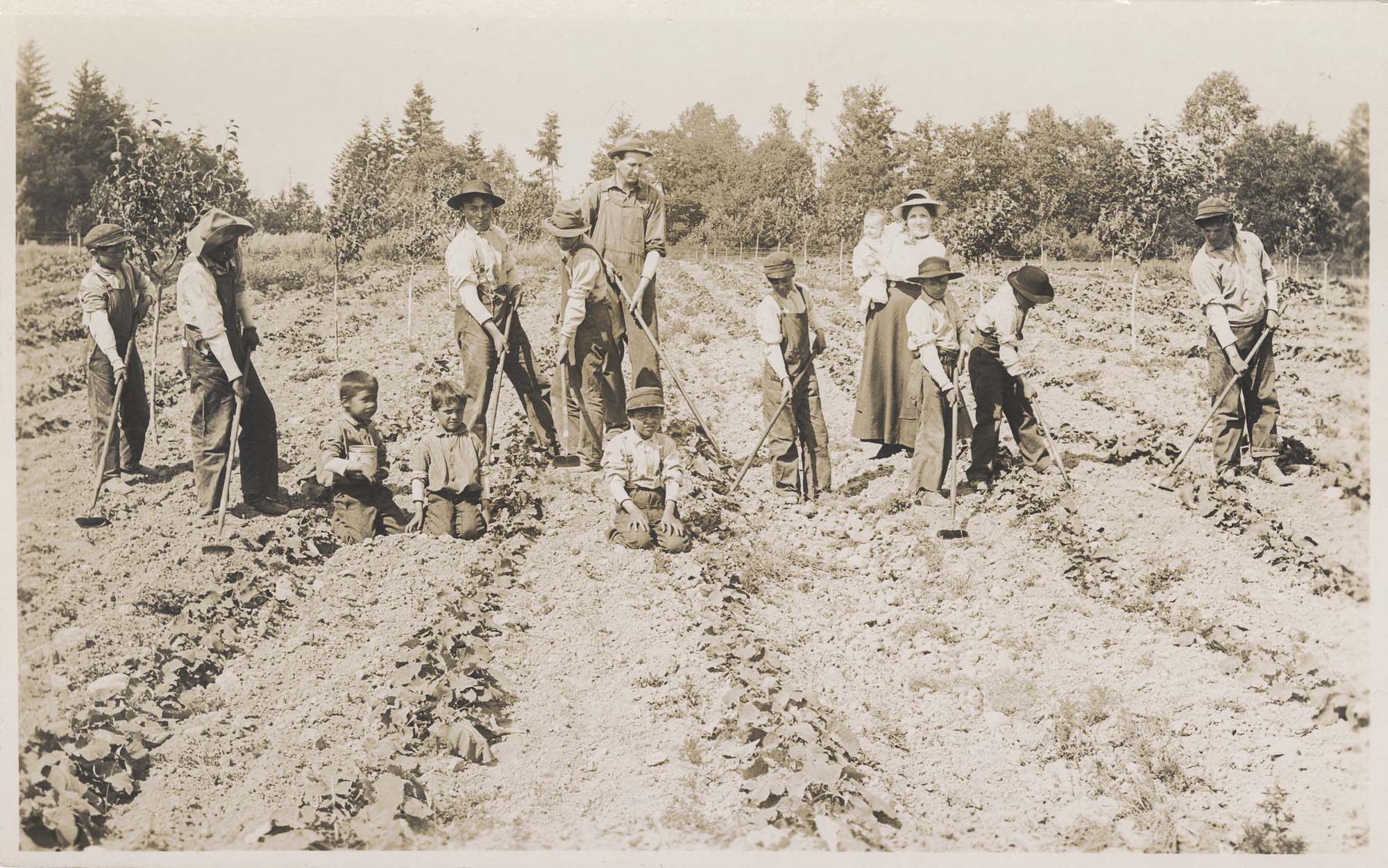 Image of Boys hoeing garden, Tulalip Indian School, circa 1912