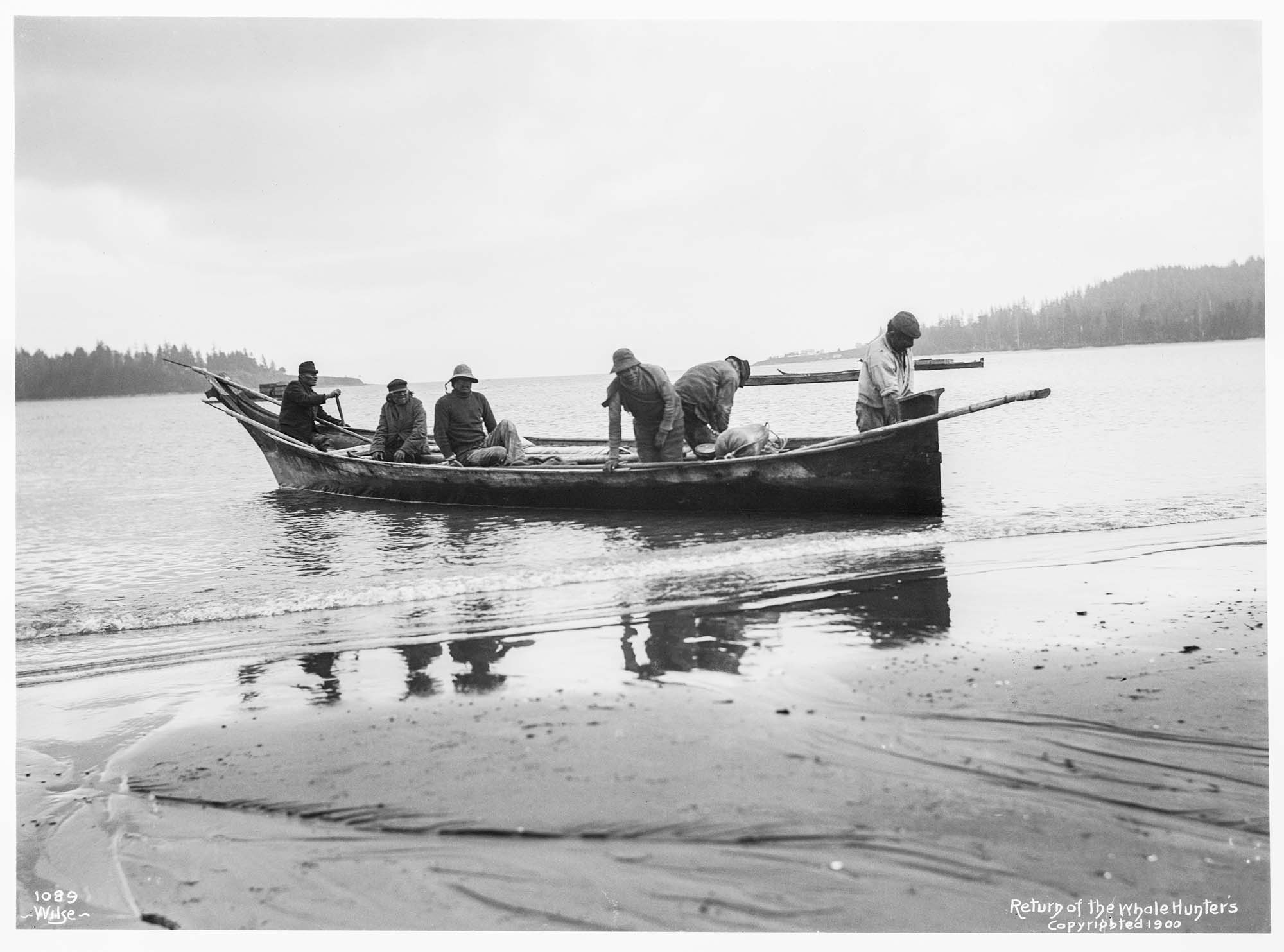 Image of Makah whale hunters landing their canoe at Neah Bay, 1900