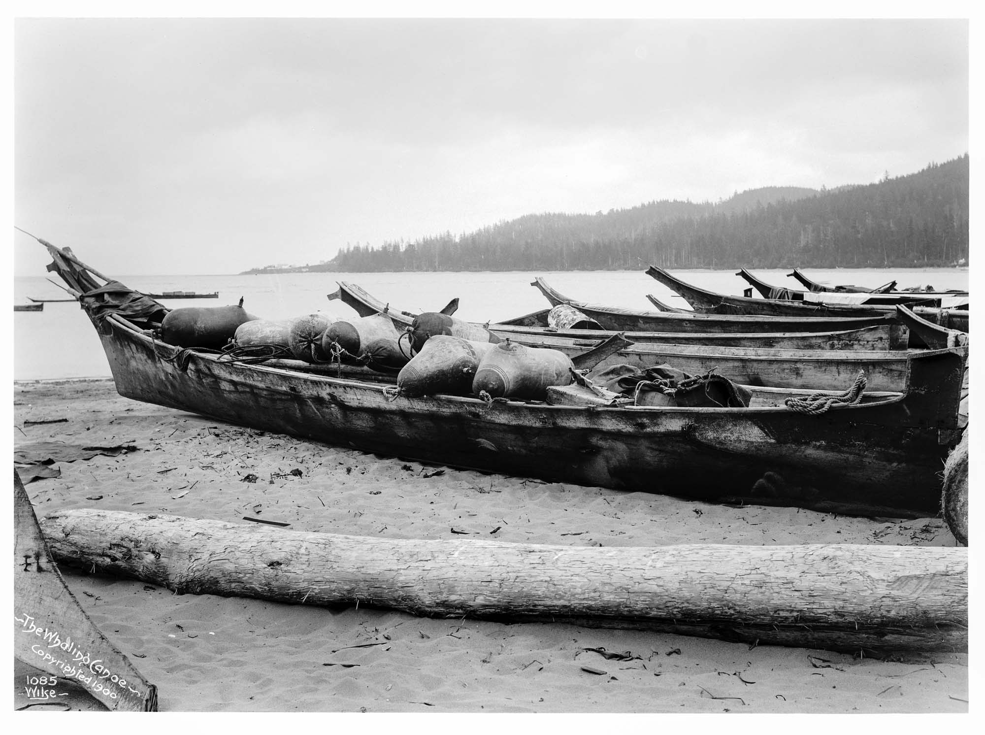 Image of Whaling canoe at Neah Bay, 1900