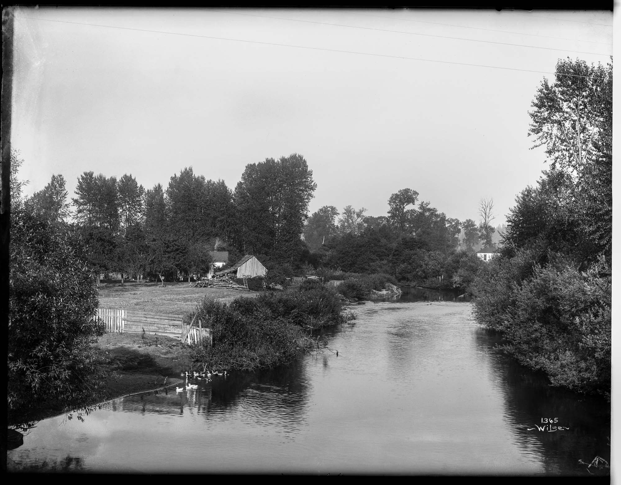 Image of Black River, near Renton, circa 1898