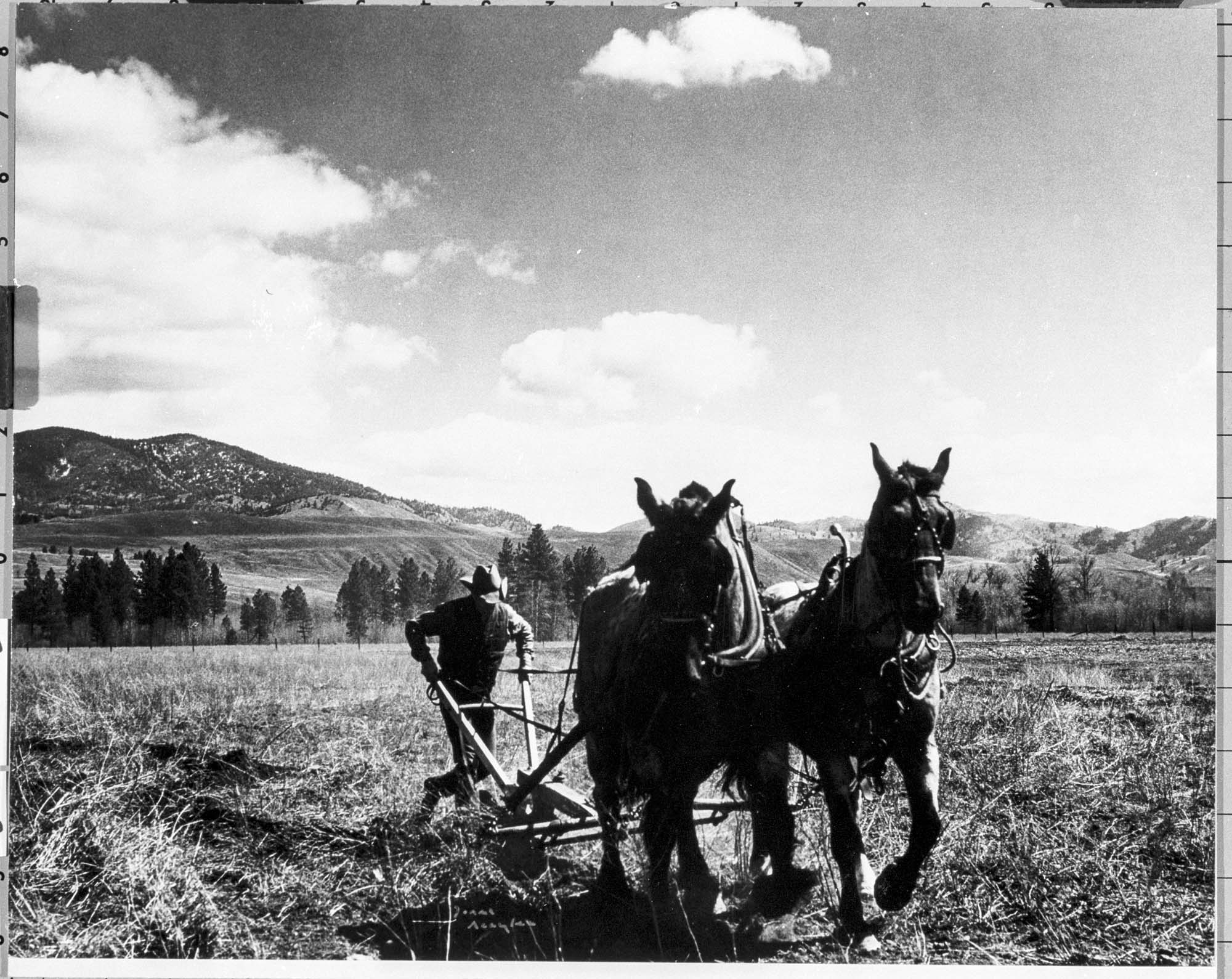 Image of Sod Busting, Mazama, Washington, 1973