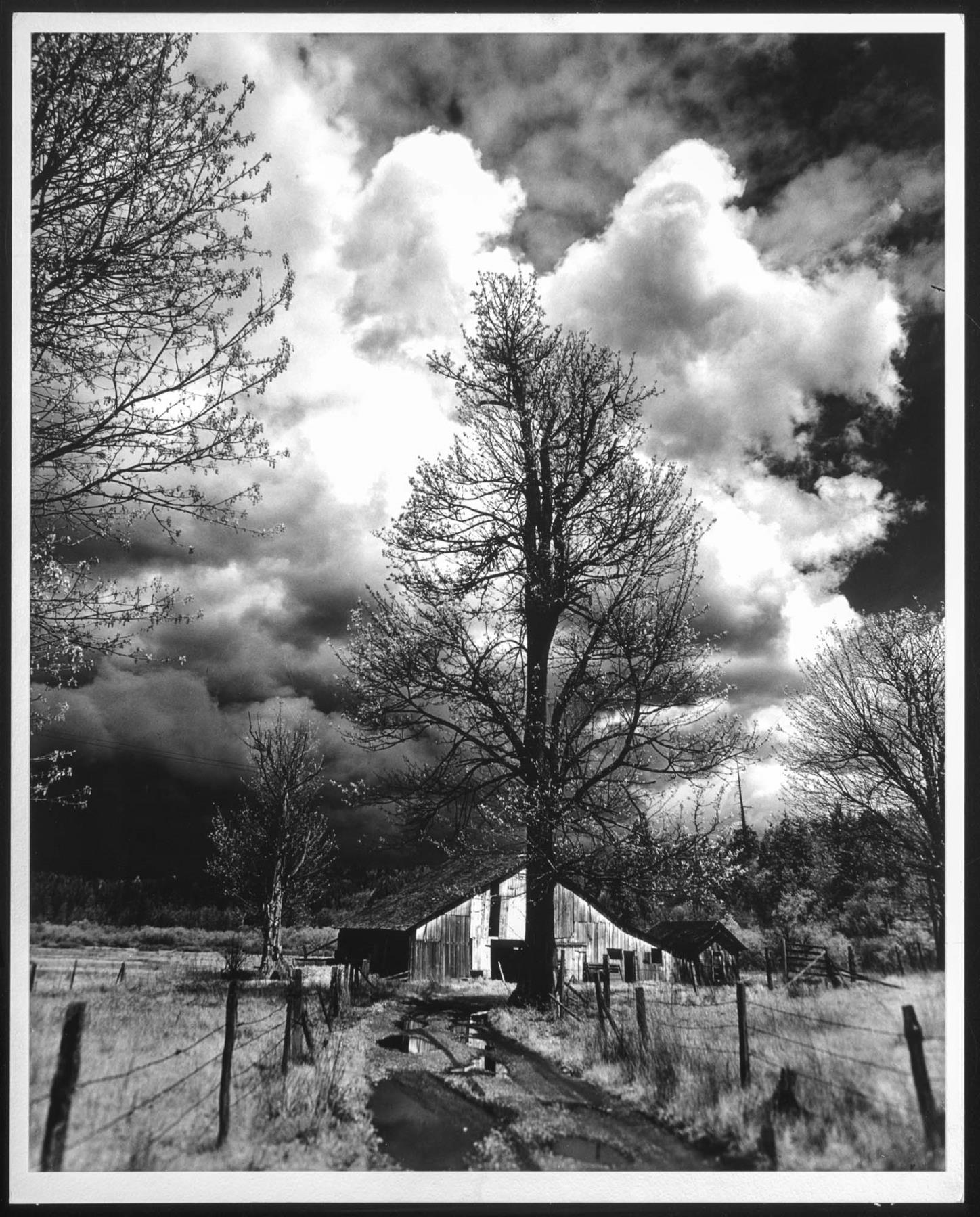 Image of Old barn, Redmond, 1969