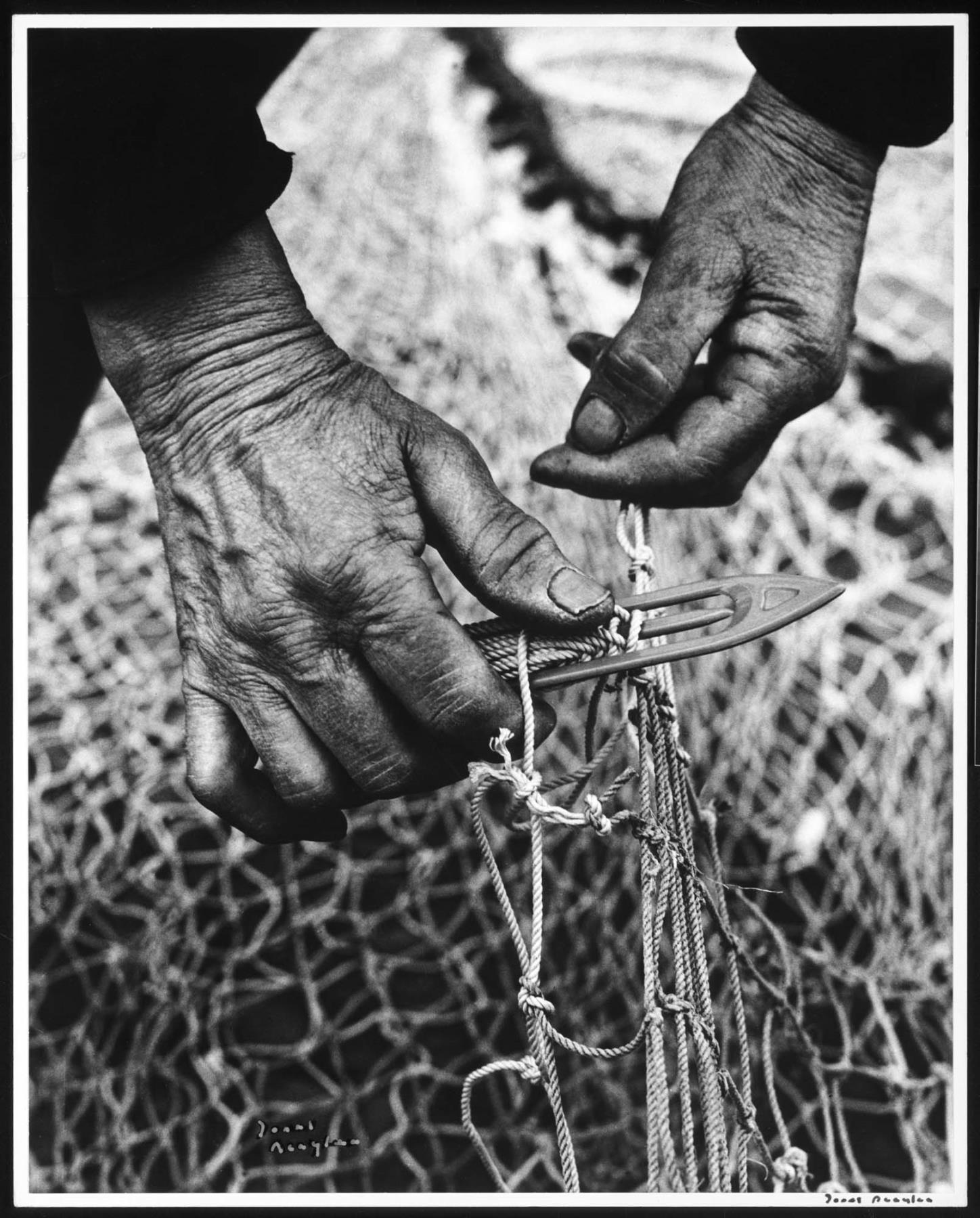 Image of Fisherman's hands, Seattle, 1953