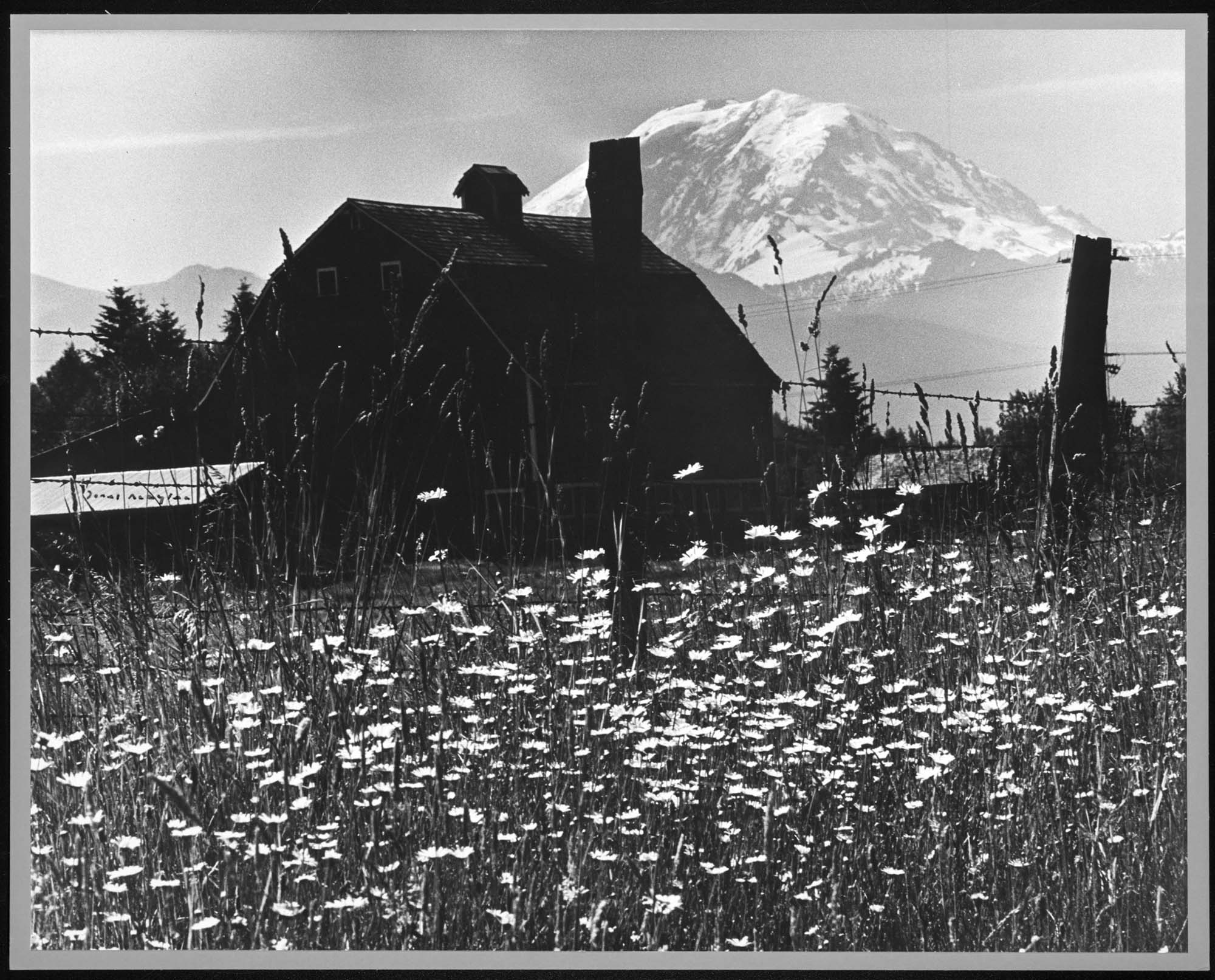 Image of Old barn, Mount Rainier in distance, Black Diamond, 1970