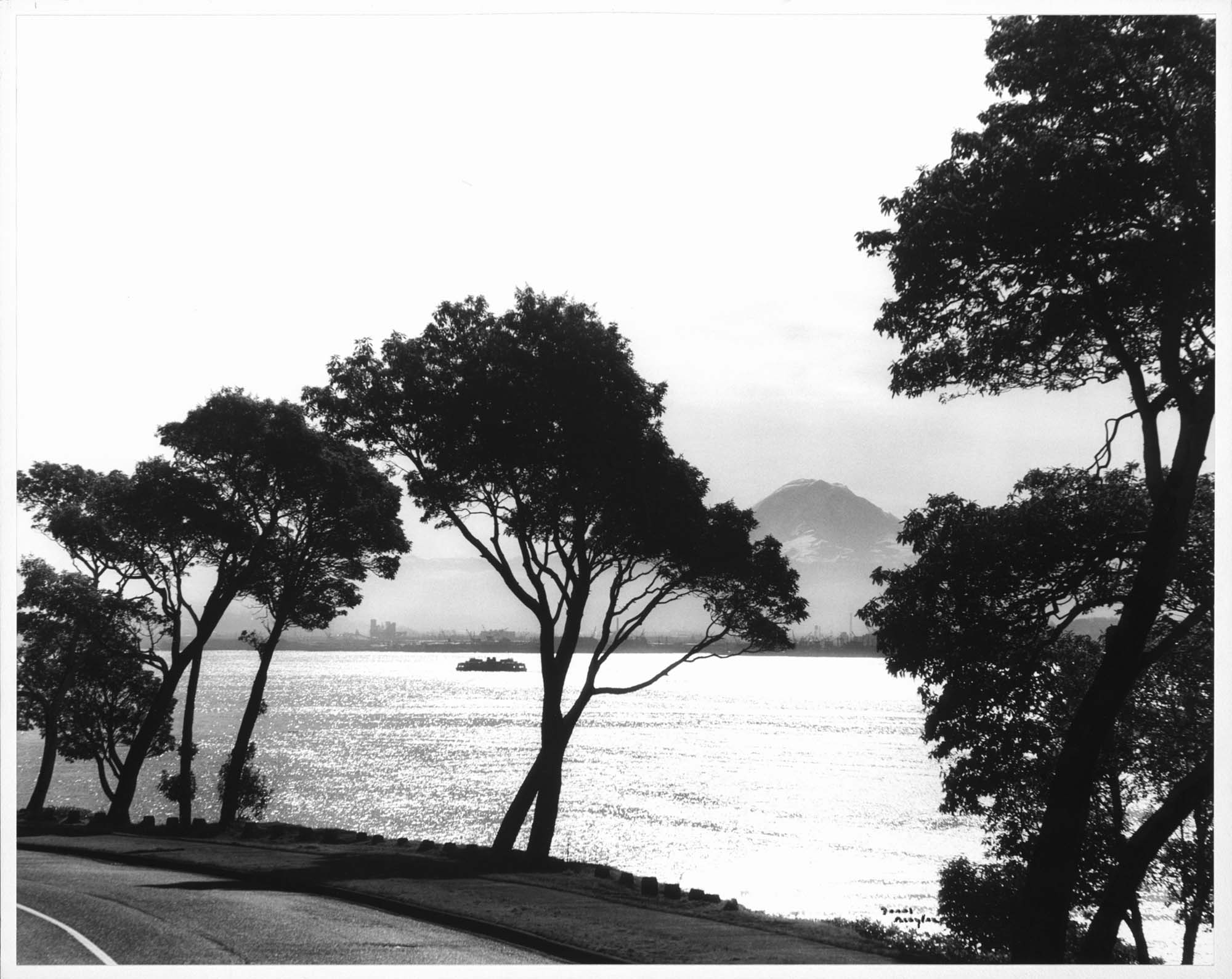 Image of Elliott Bay and Mount Rainier from Magnolia, Seattle, 1956