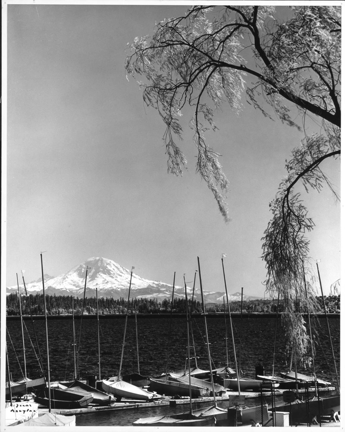 Image of Mount Rainier from Leschi Park, Seattle, 1979