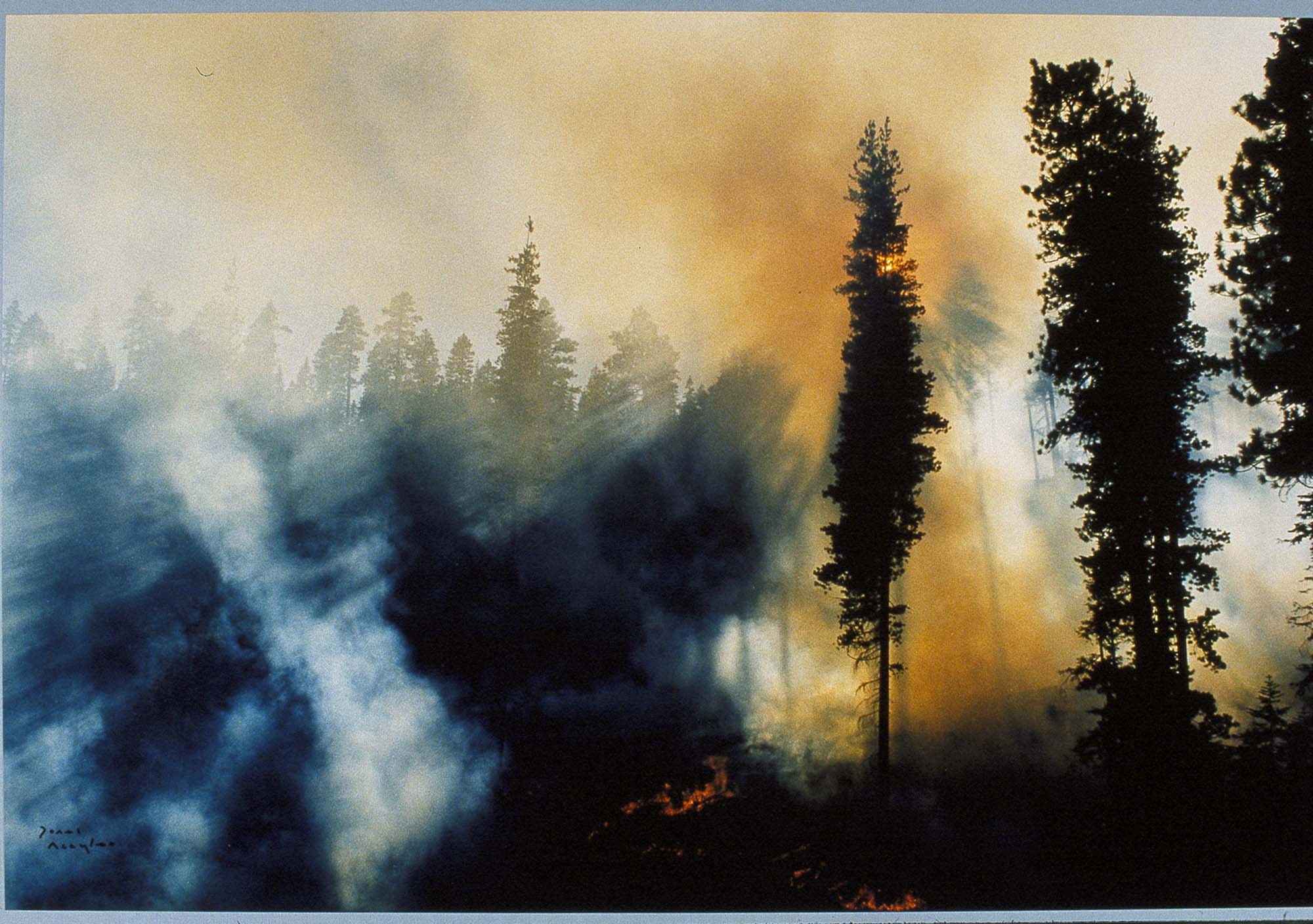 Image of Forest fire in the Cascade Mountains, 1984