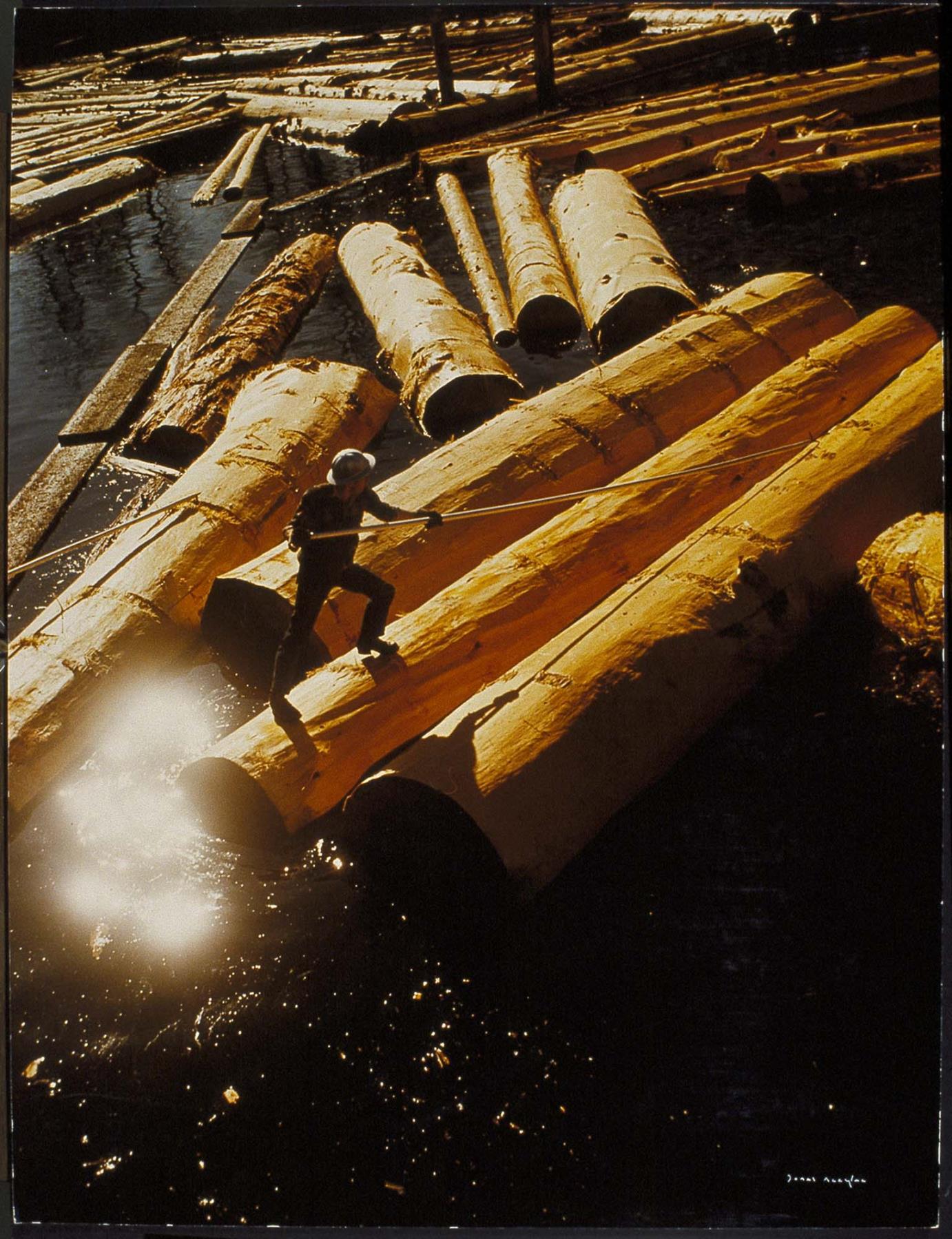 Image of Log pond at Weyerhaeuser mill, Snoqualmie, 1950