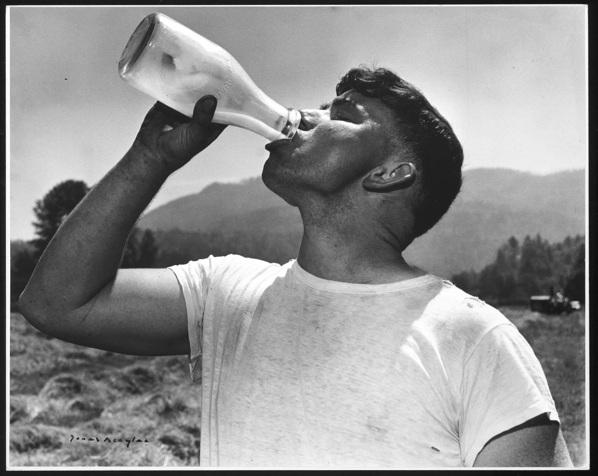 Image of Dairy farmer Rob Pickering drinking milk, Issaquah, 1958