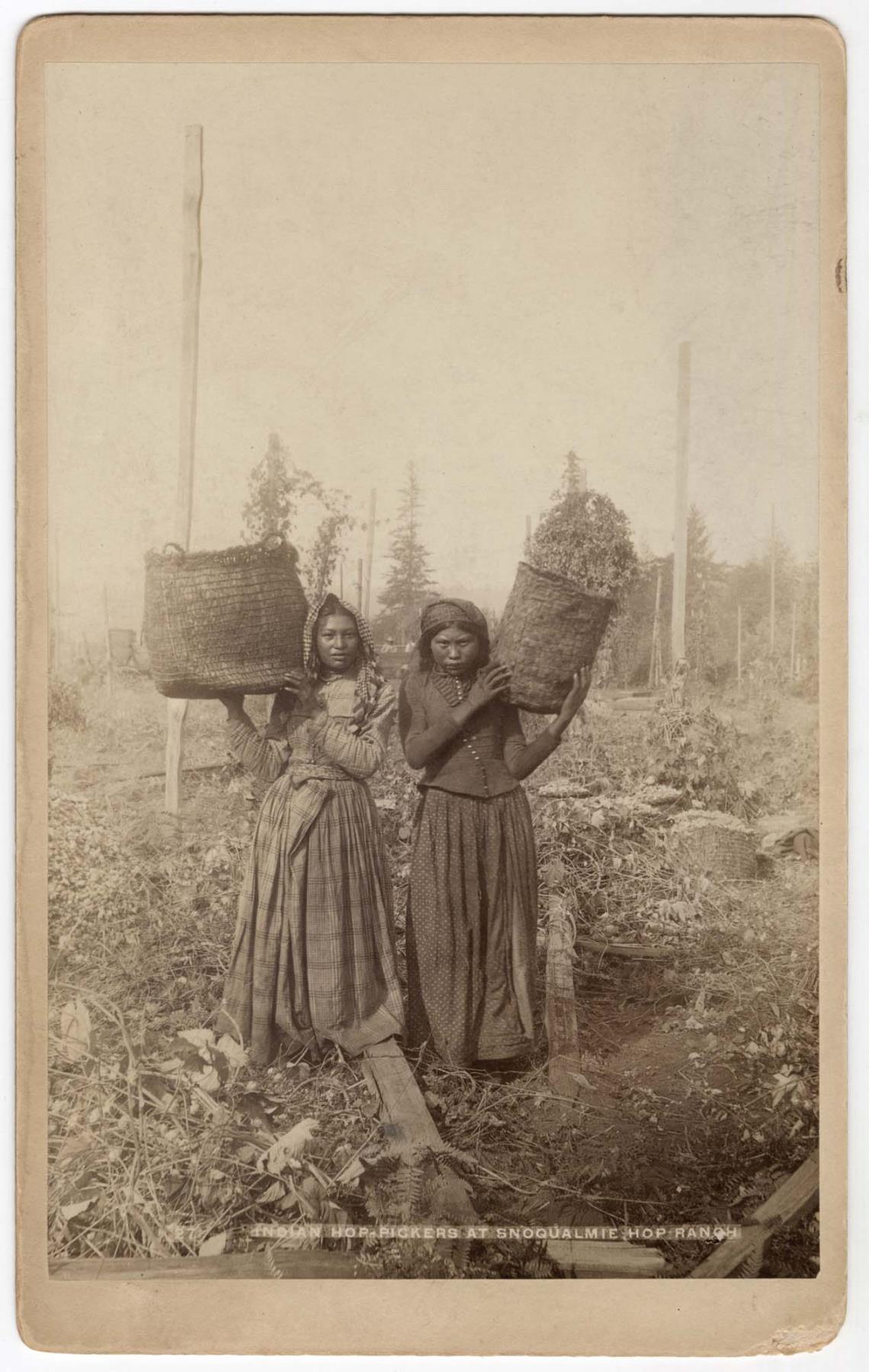 Image of Indigenous women picking hops, Snoqualmie Hop Ranch, circa 1895