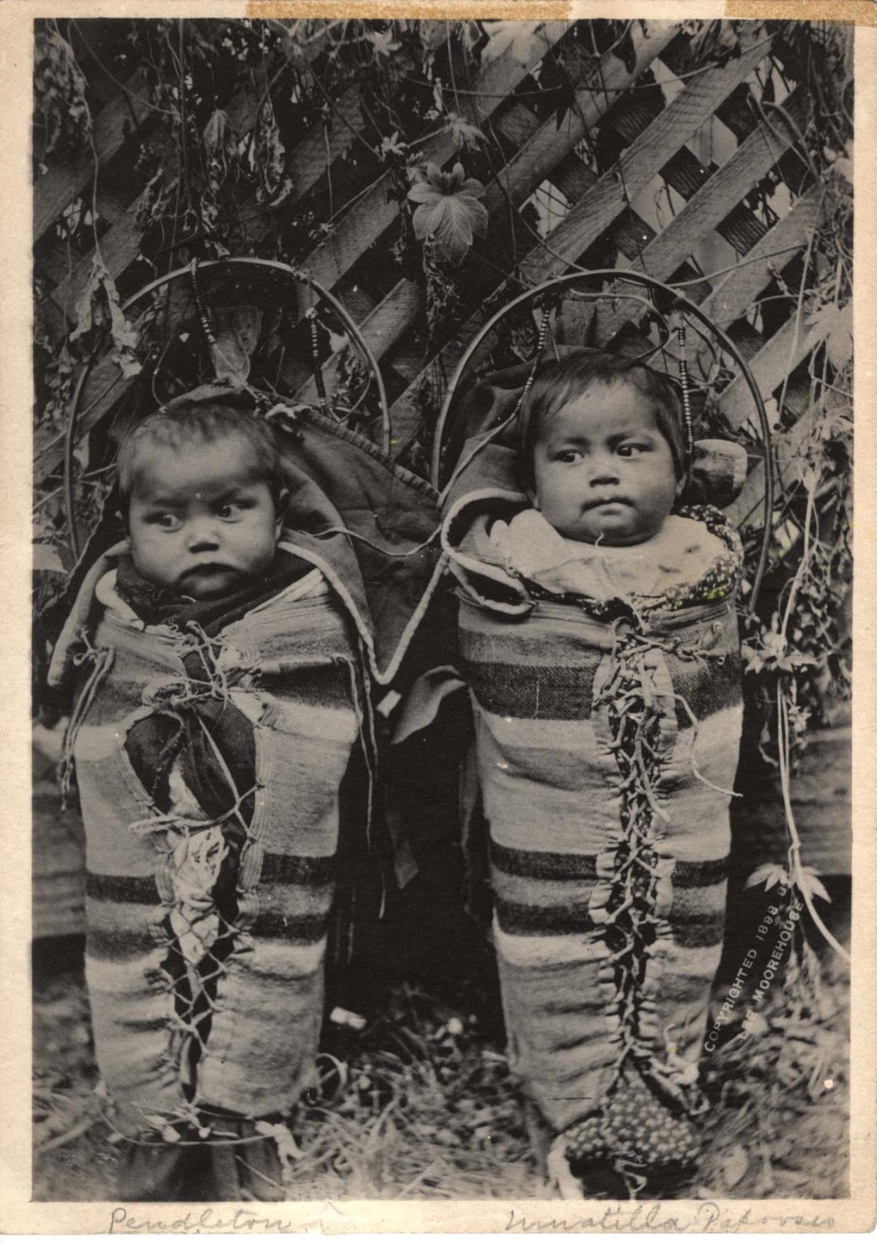 Image of Cayuse twin babies in cradleboards, October 2, 1898