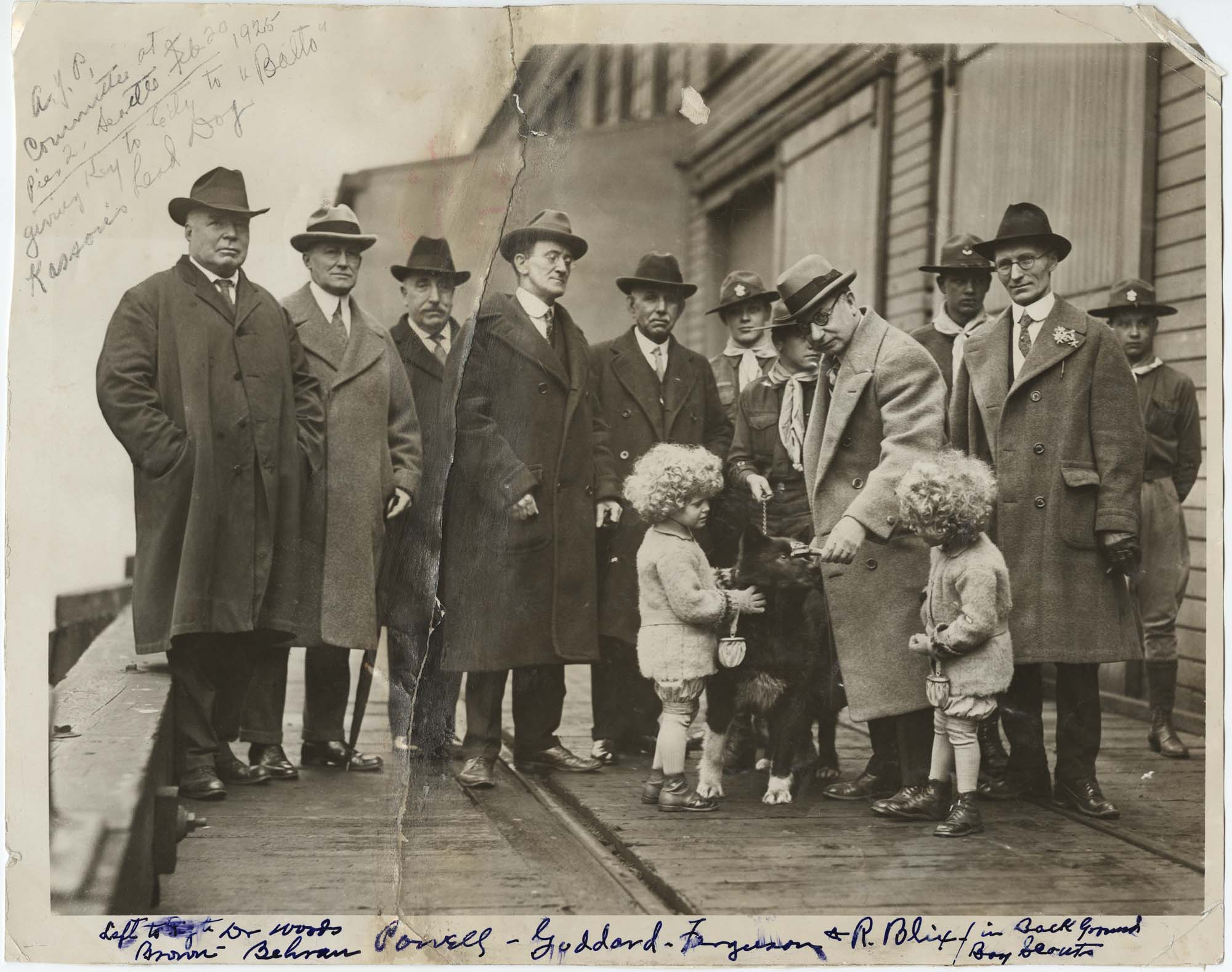 Image of Alaska-Yukon Pioneers Committee presenting a key to the city to sled dog Balto at Pier 2, Seattle, March 22, 1925