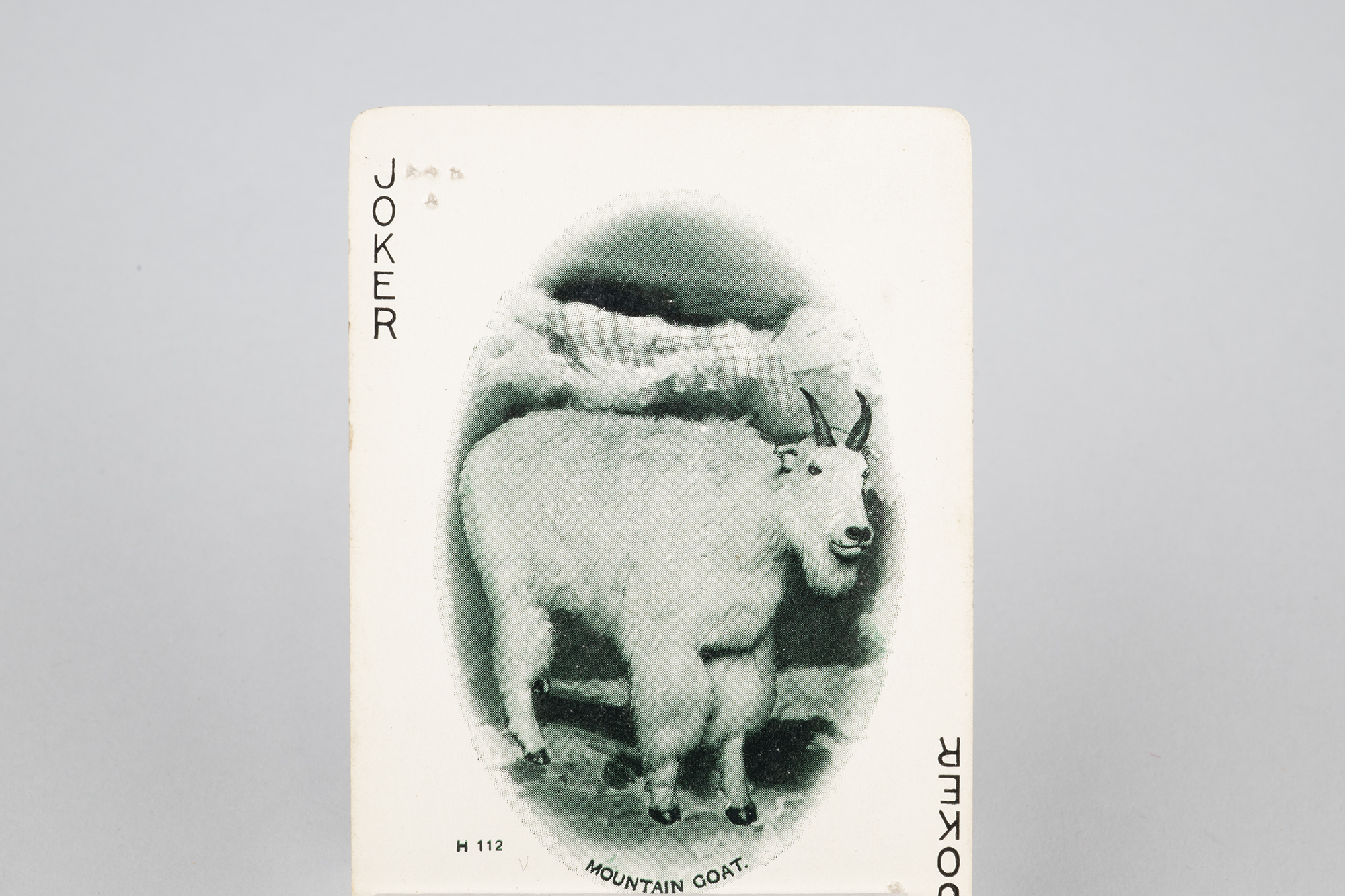 Image of Deck of cards with Pacific Northwest scenes and braille, ca. 1900