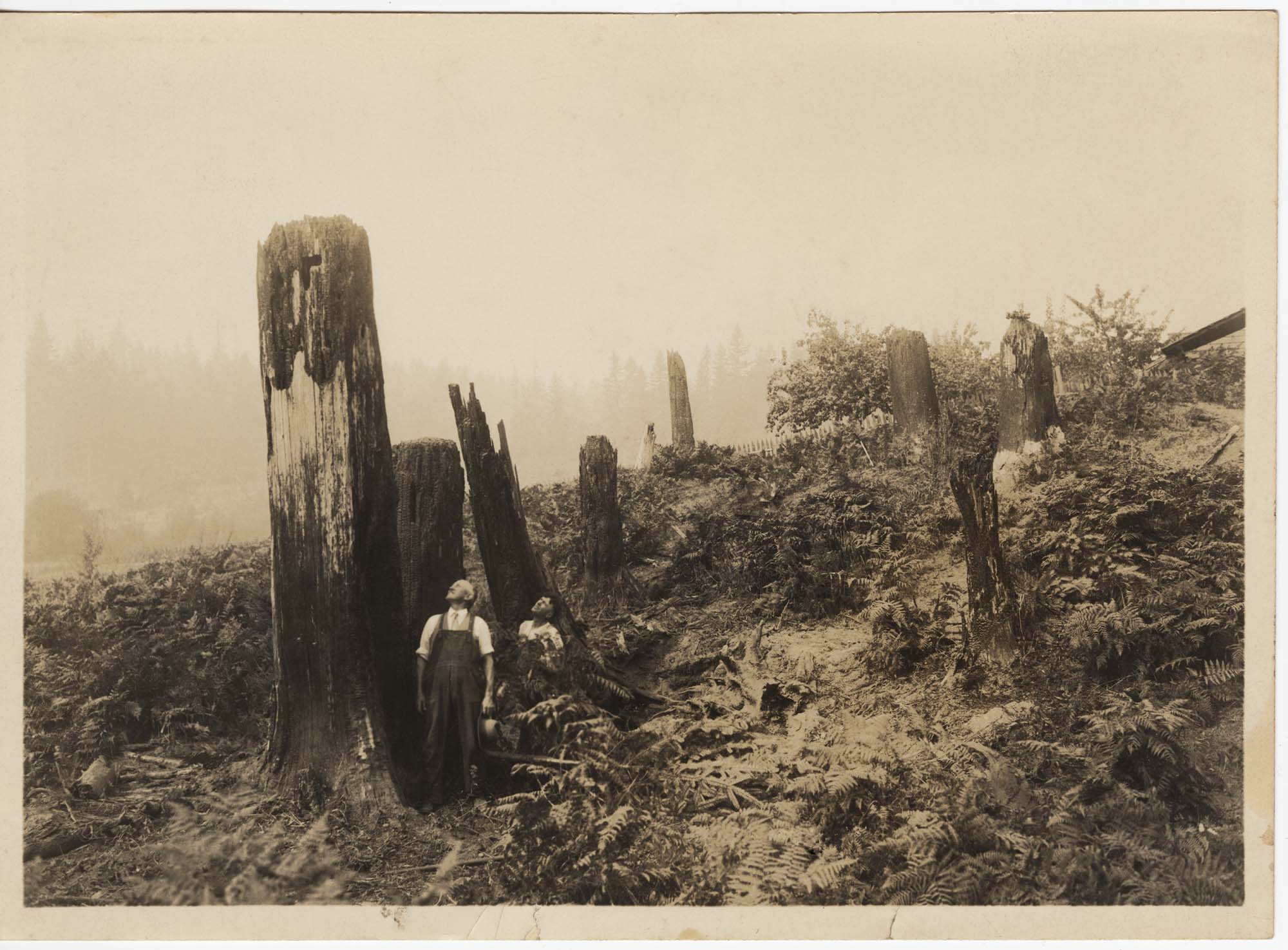 Image of Two men looking at burnt timber after a clear-cut and fire on Bainbridge Island, circa 1900