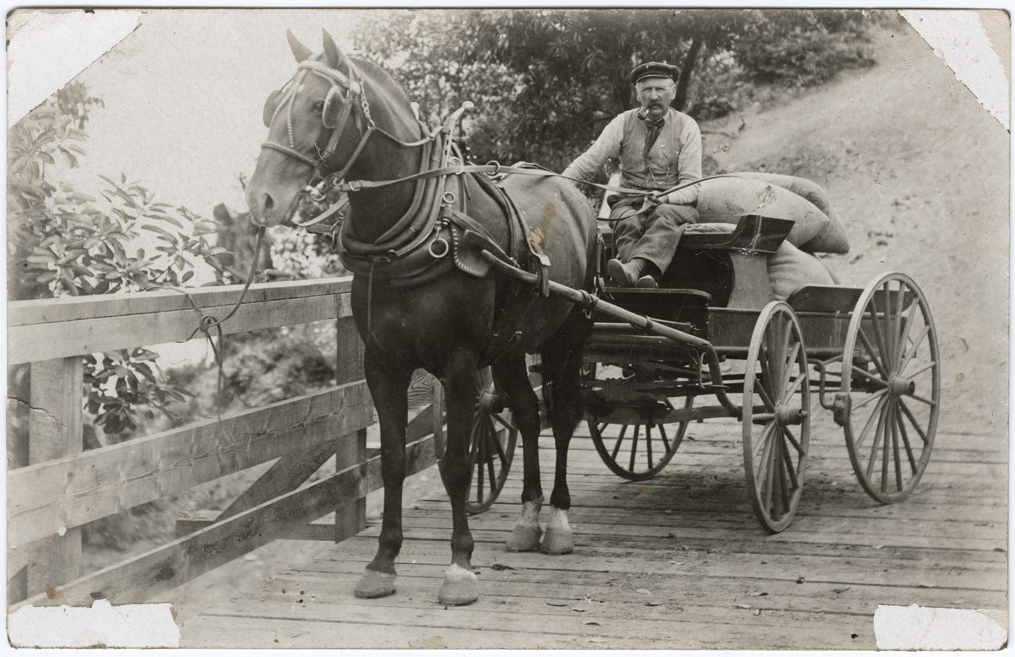 Image of John Dulin and team hauling feed at Arletta, Washington, circa 1905